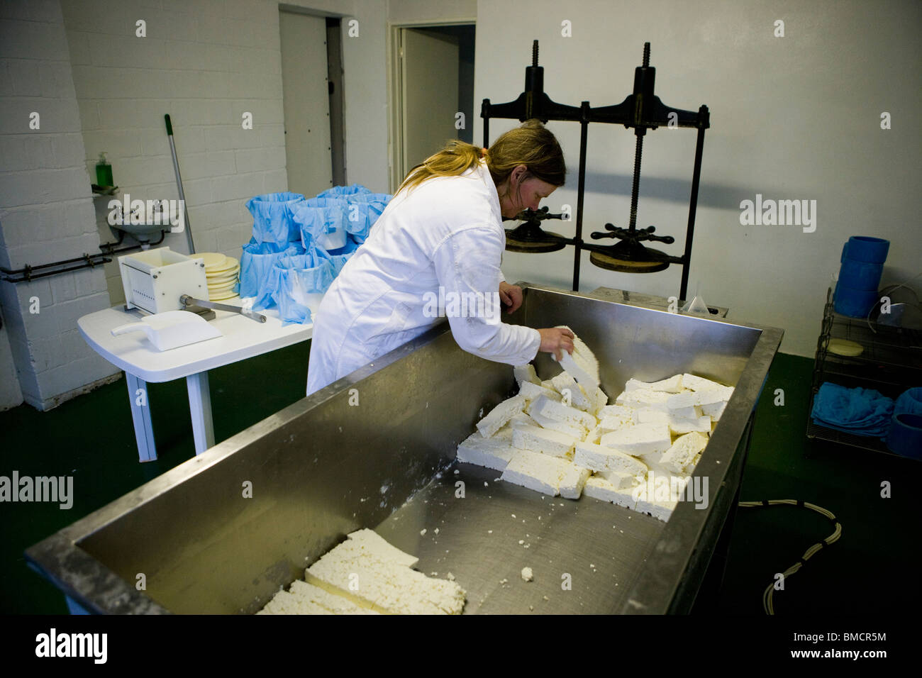 Cheese maker Jennie Ireland making traditional Single and Double