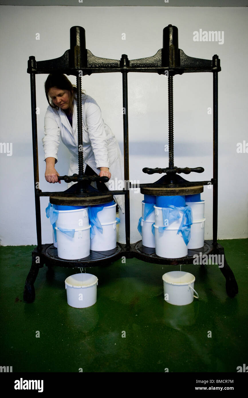Cheese maker Jennie Ireland making traditional Single and Double