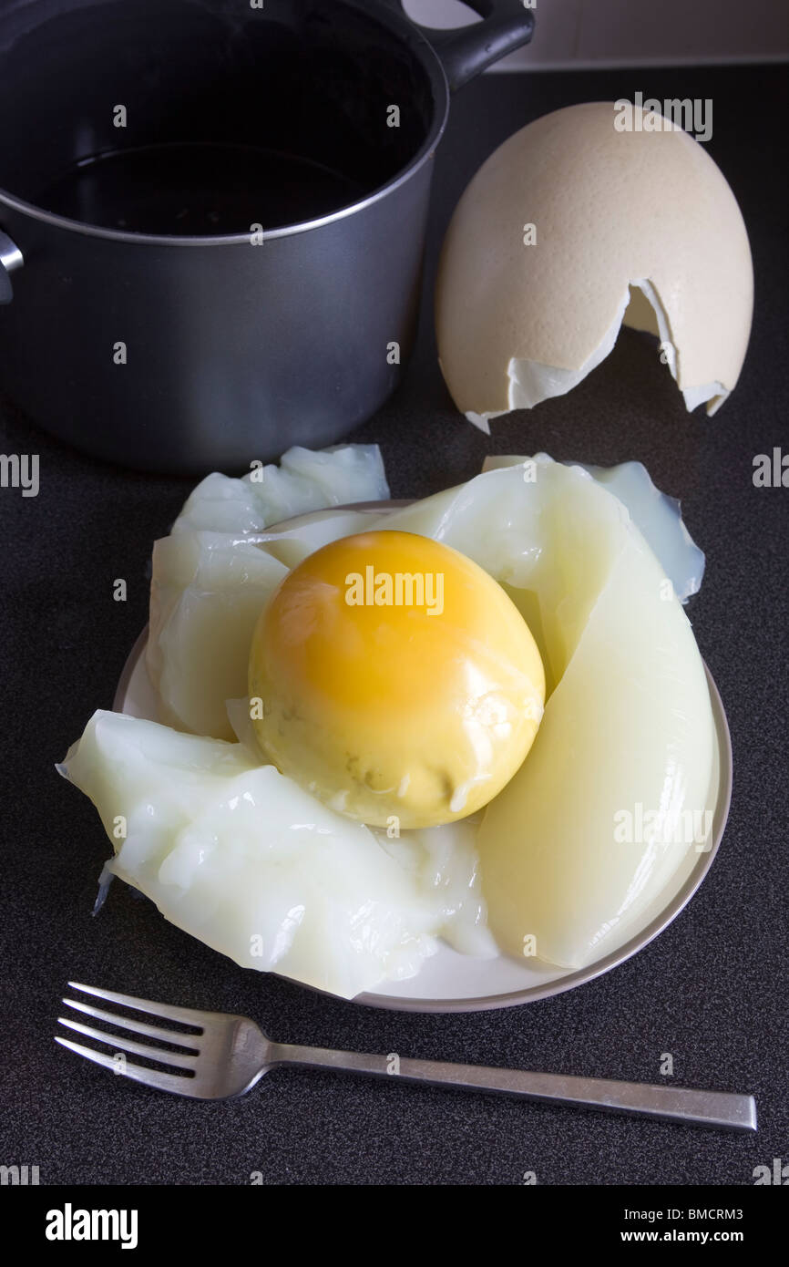 Hard Boiled Ostrich Egg Stock Photo