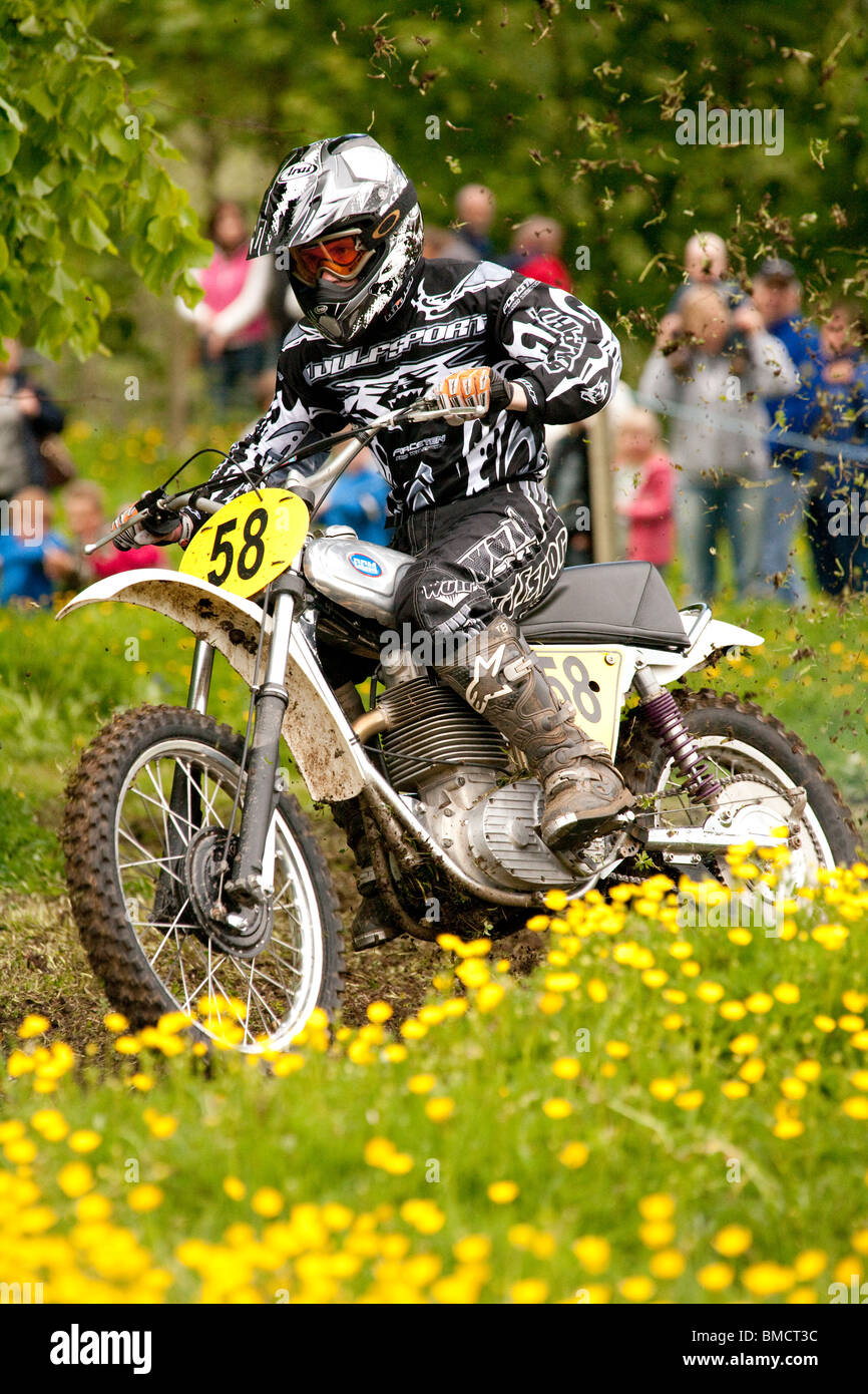 Classic motocross demo at the Barony College open day motorcycle racing through field of spring buttercups near Dumfries UK Stock Photo