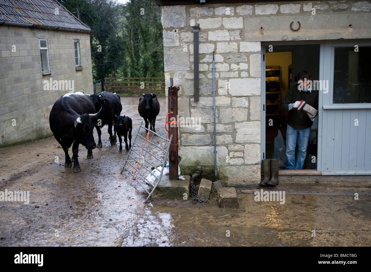 Farmer Jonathan Crump making traditional Single and Double Gloucester