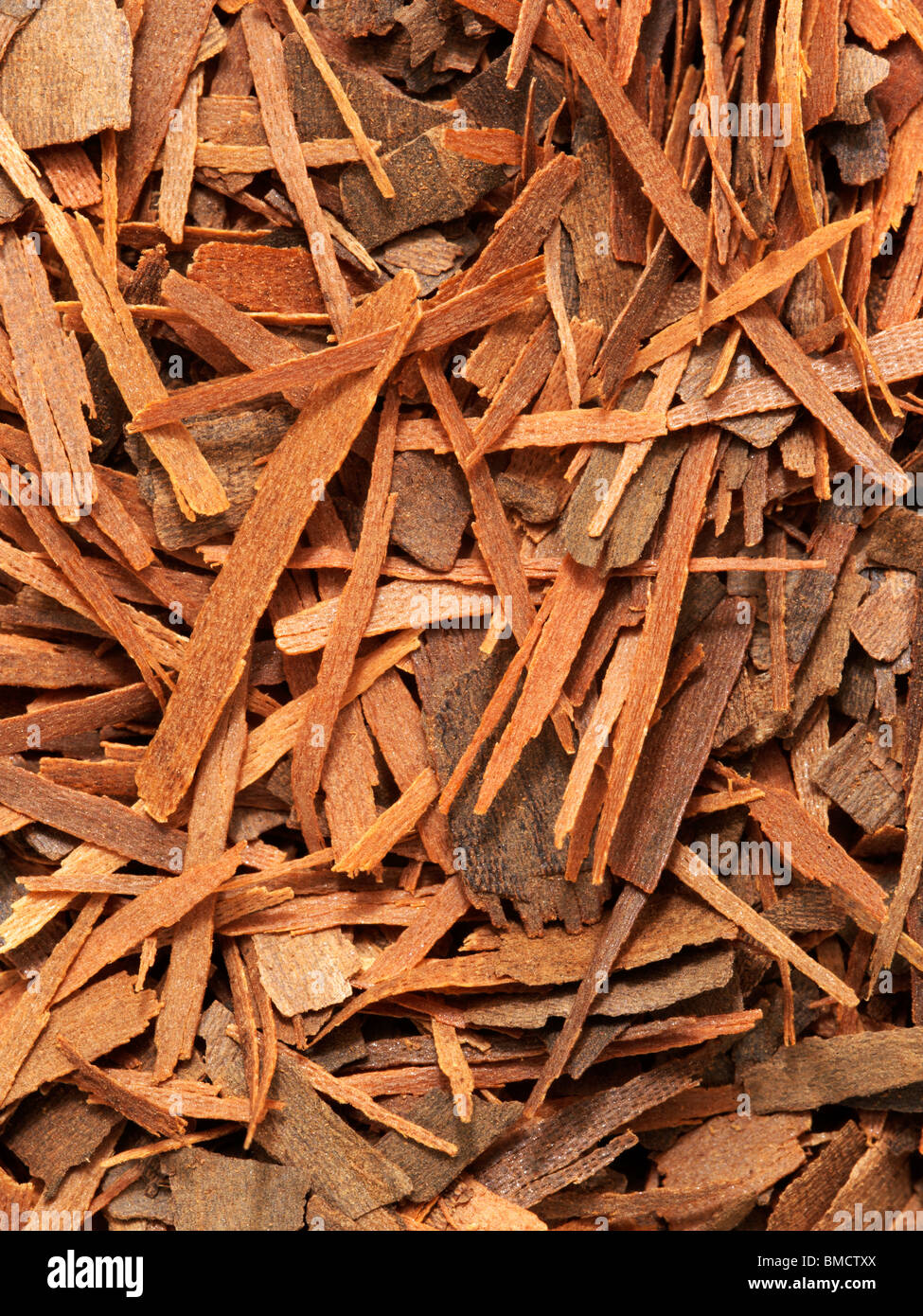 Wild cherry bark hires stock photography and images Alamy