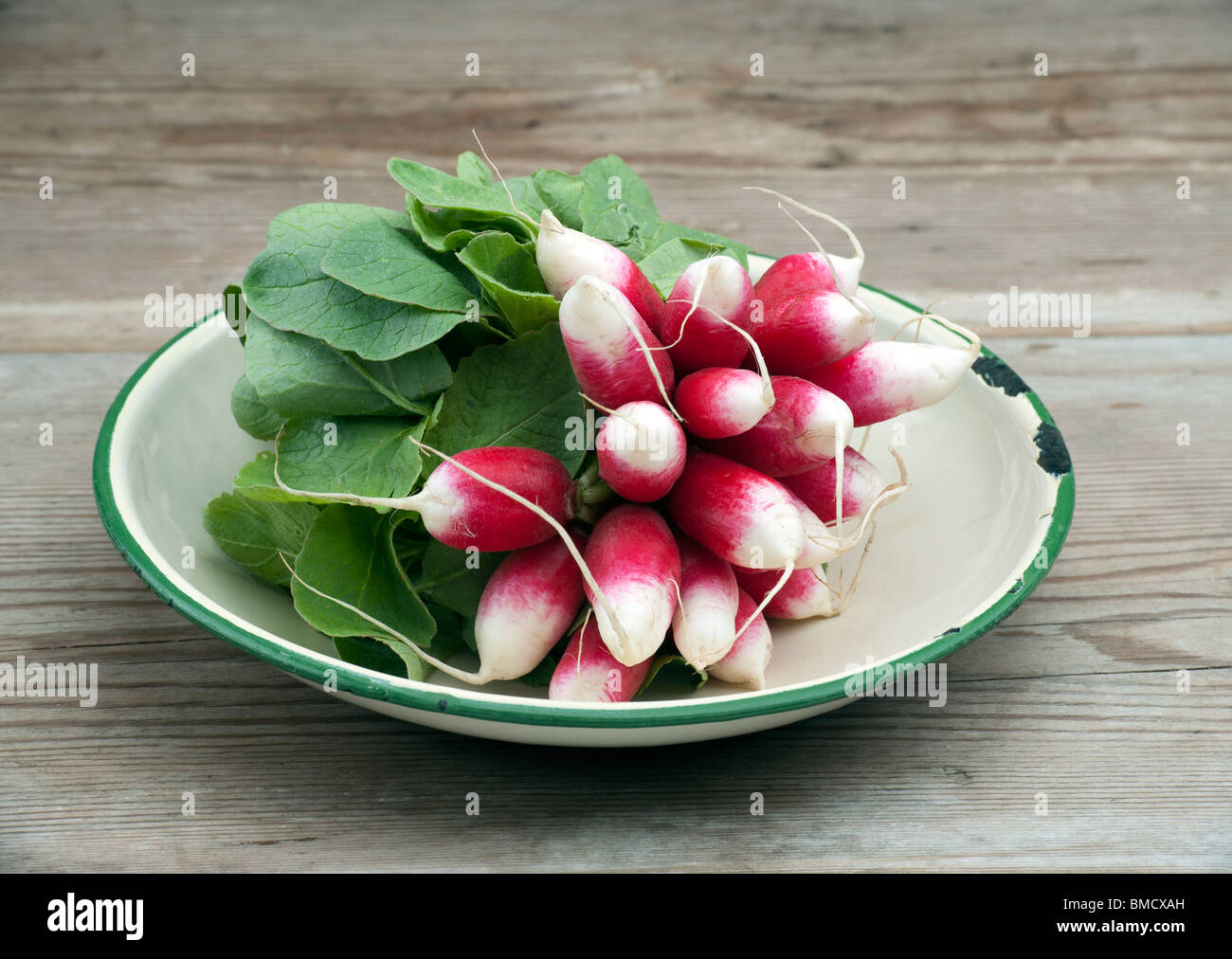 A Bunch Of Fresh French Breakfast Radish In A Enamel Dish, On A Wooden Kitchen Table Stock Photo