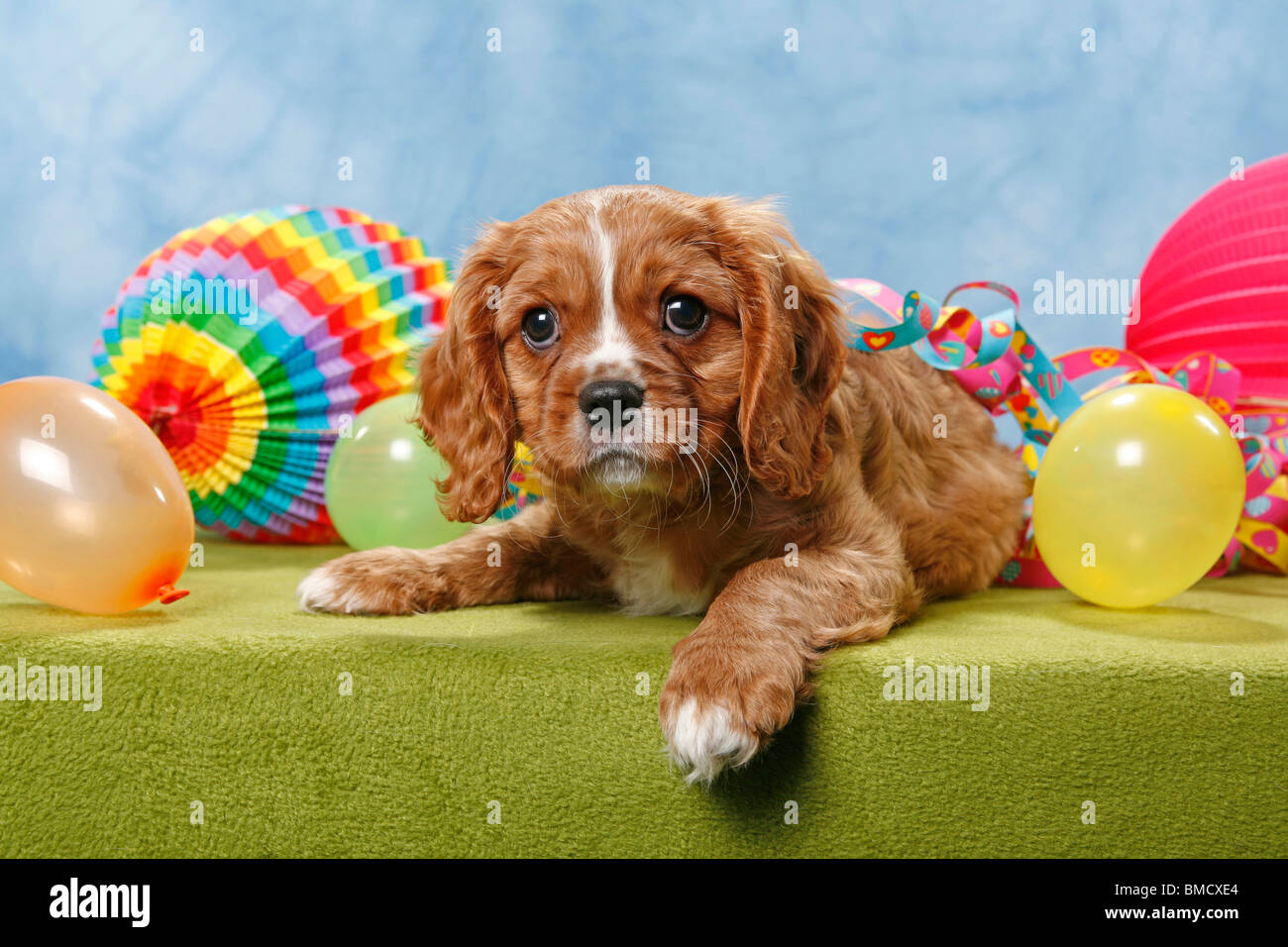 King charles birthday party hires stock photography and images Alamy