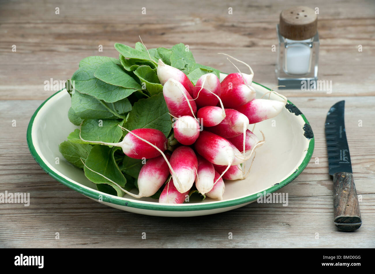 A Bunch Of Fresh French Breakfast Radish In A Enamel Dish, With A Knife and Salt Pot On A Wooden Kitchen Table Stock Photo