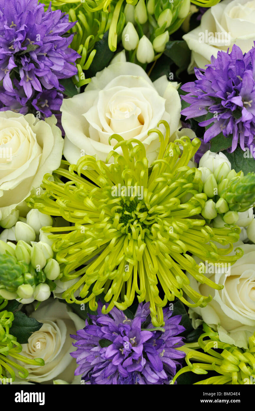 Flower bouquet with bellflowers (Campanula), roses (Rosa) and chrysanthemums (Chrysanthemum) Stock Photo