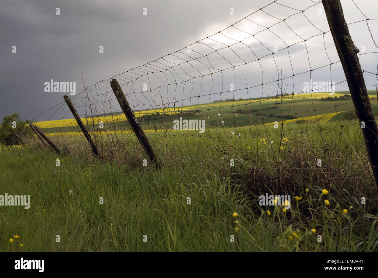 paysage de campagne, barriere, verdure nuages Stock Photo