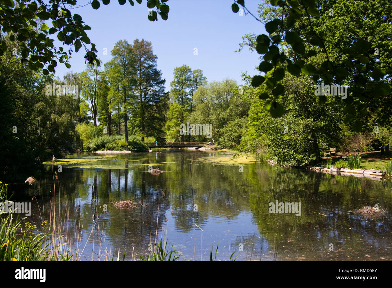 Kew Gardens London England Stock Photo Alamy