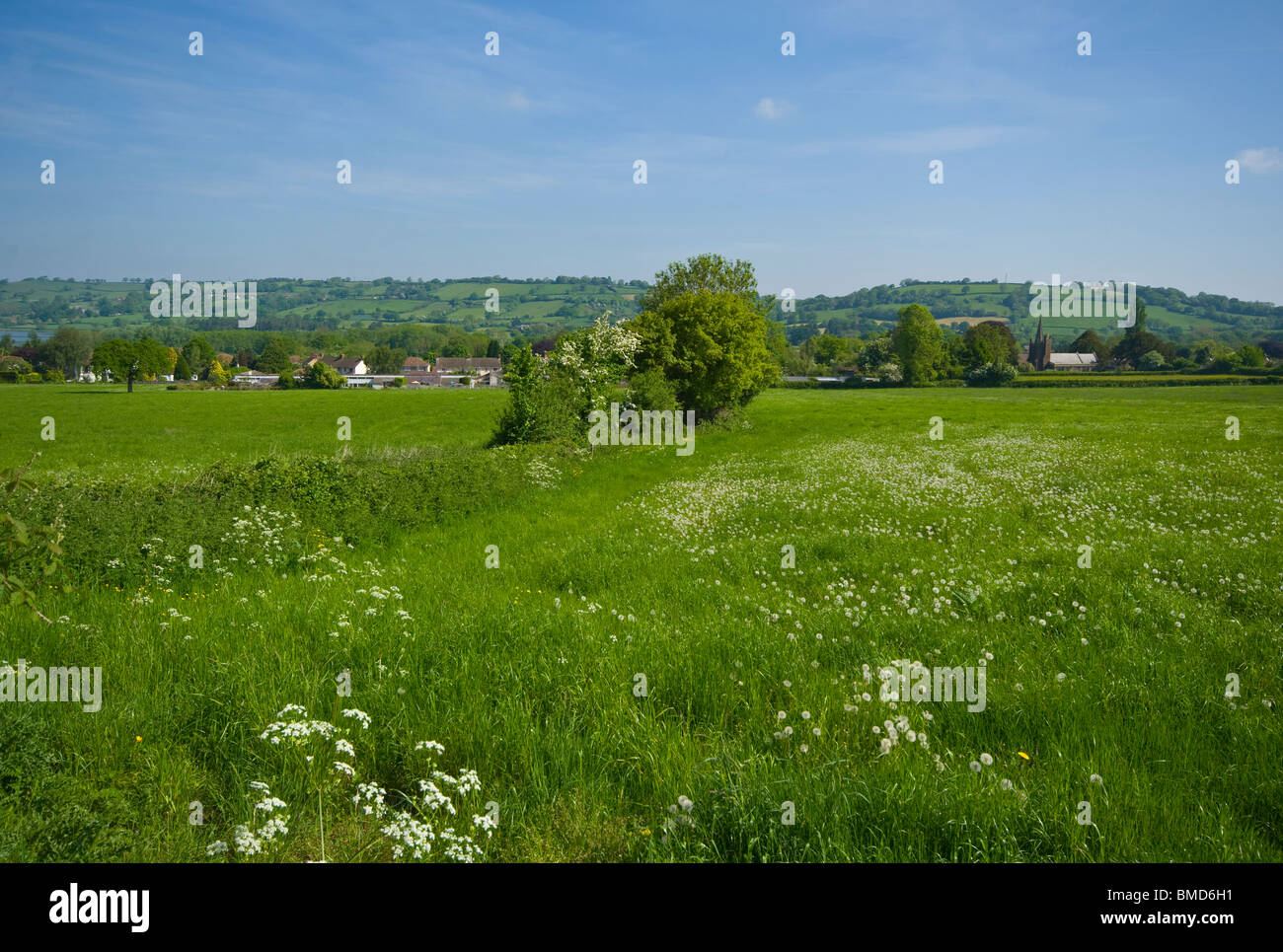 The Somerset Countryside As Seen From The A368 Towards The Village Of Ubley Somerset England Stock Photo
