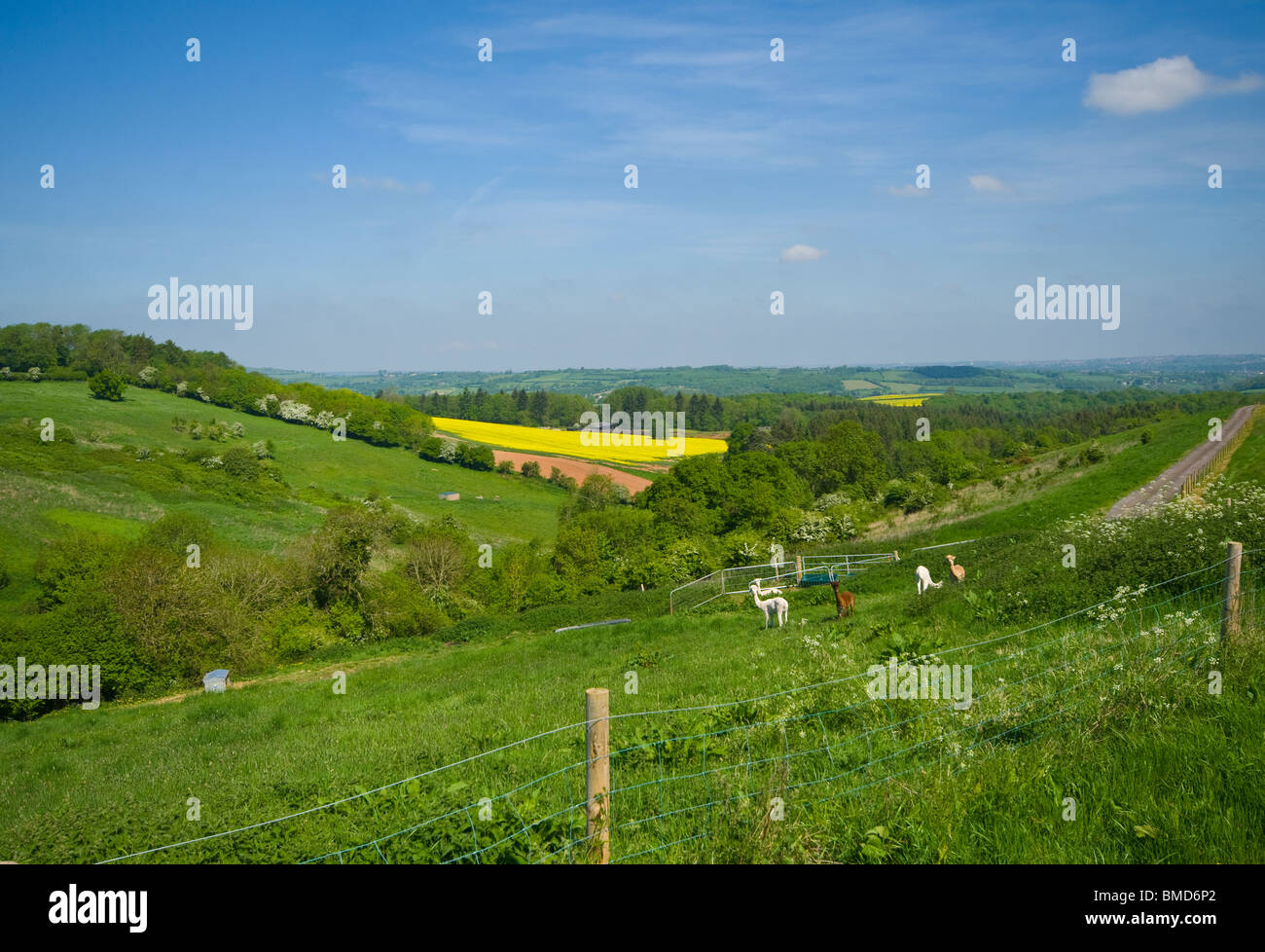 The Somerset Countryside As Seen From The A368 Somerset England mendip hills Stock Photo