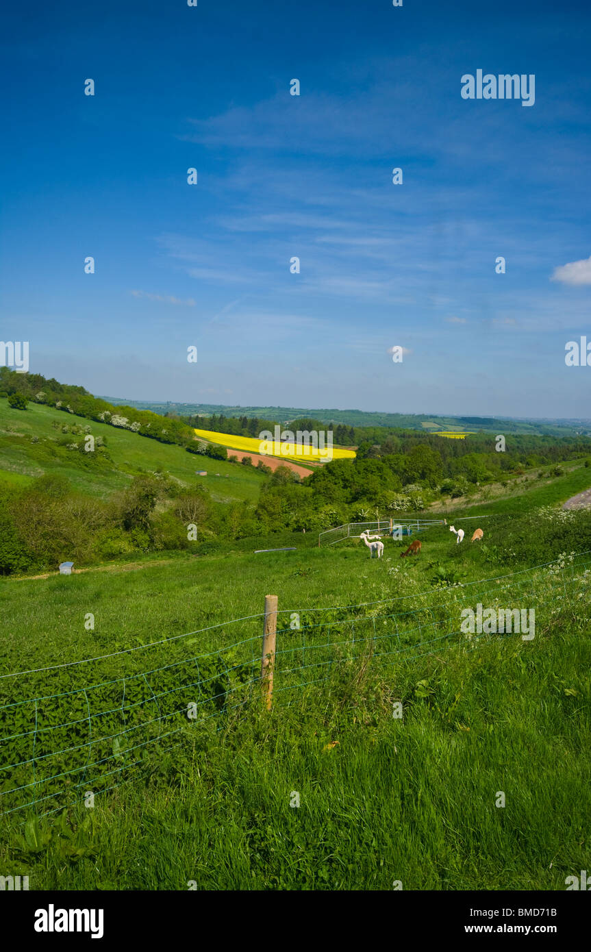 The Somerset Countryside As Seen From The A368 Somerset England mendip hills Stock Photo