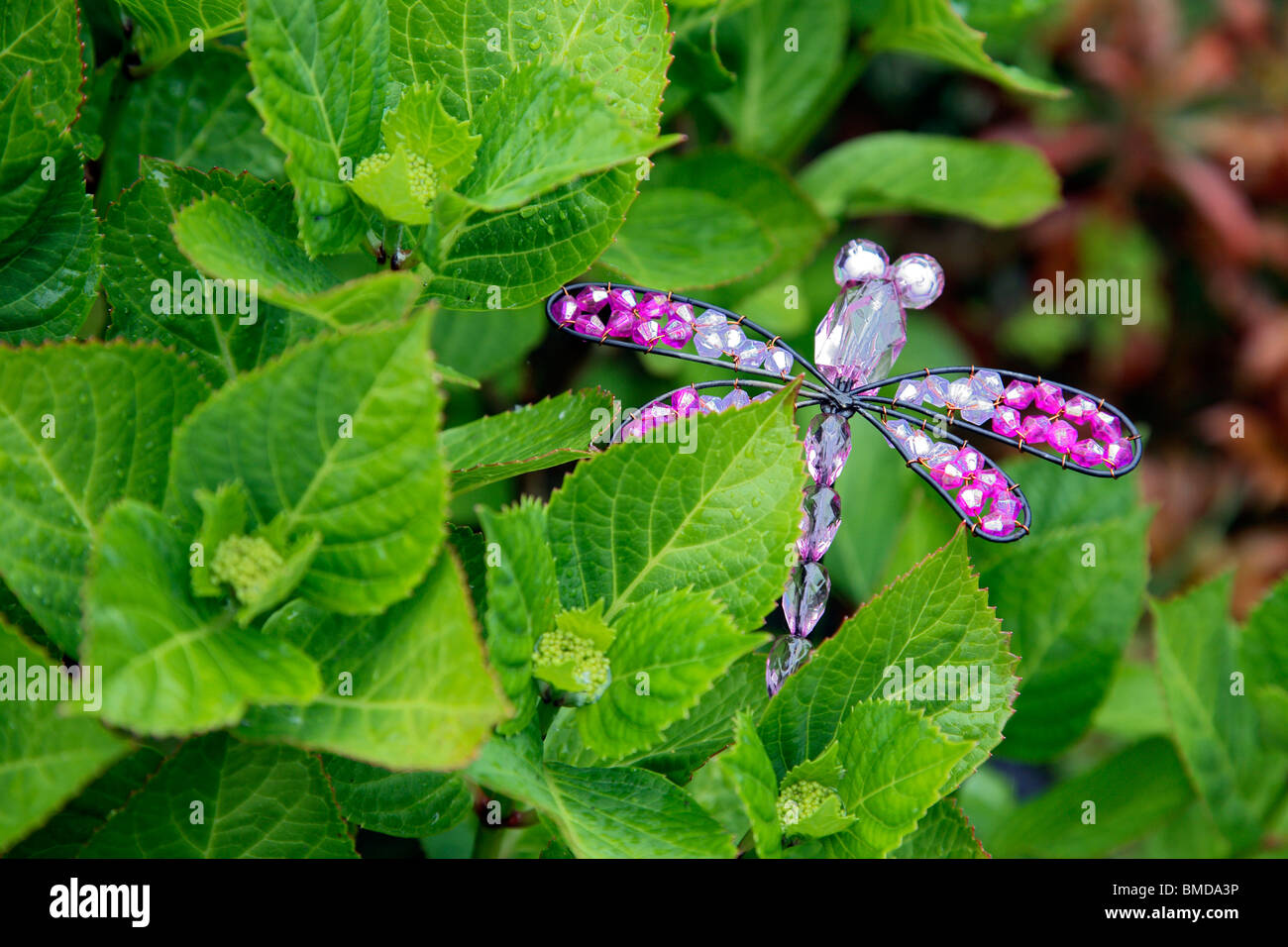 Dragonfly garden ornament Stock Photo Alamy