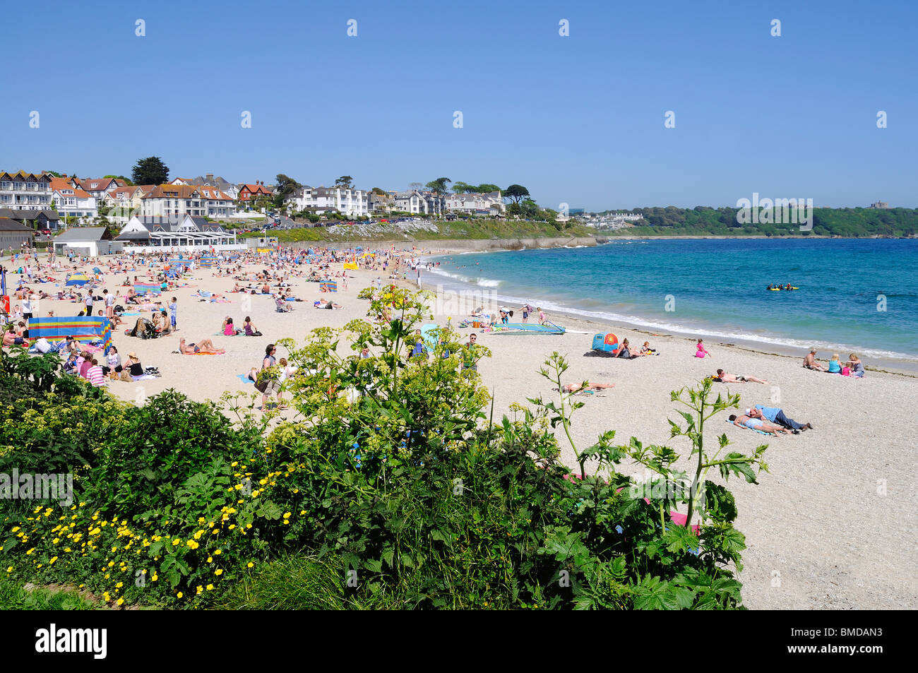 summertime at gyllyngvase beach, falmouth, cornwall, uk Stock Photo Alamy