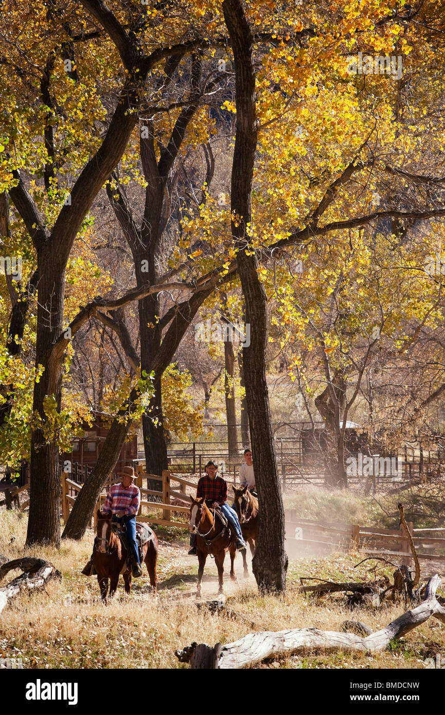 Horseback riders along Virgin River in Zion National Park enjoy