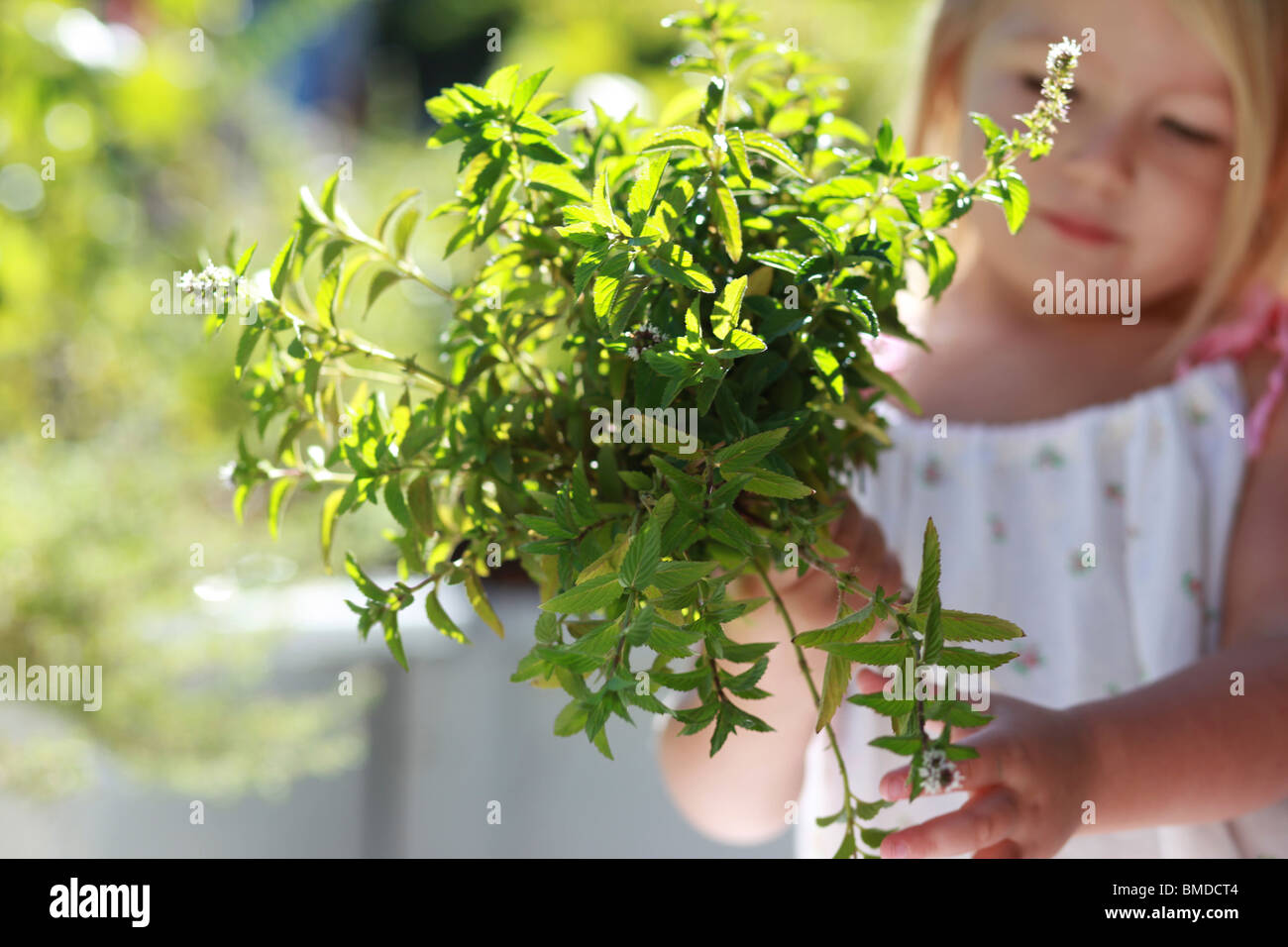 Young girl holding bunch of green plants Stock Photo