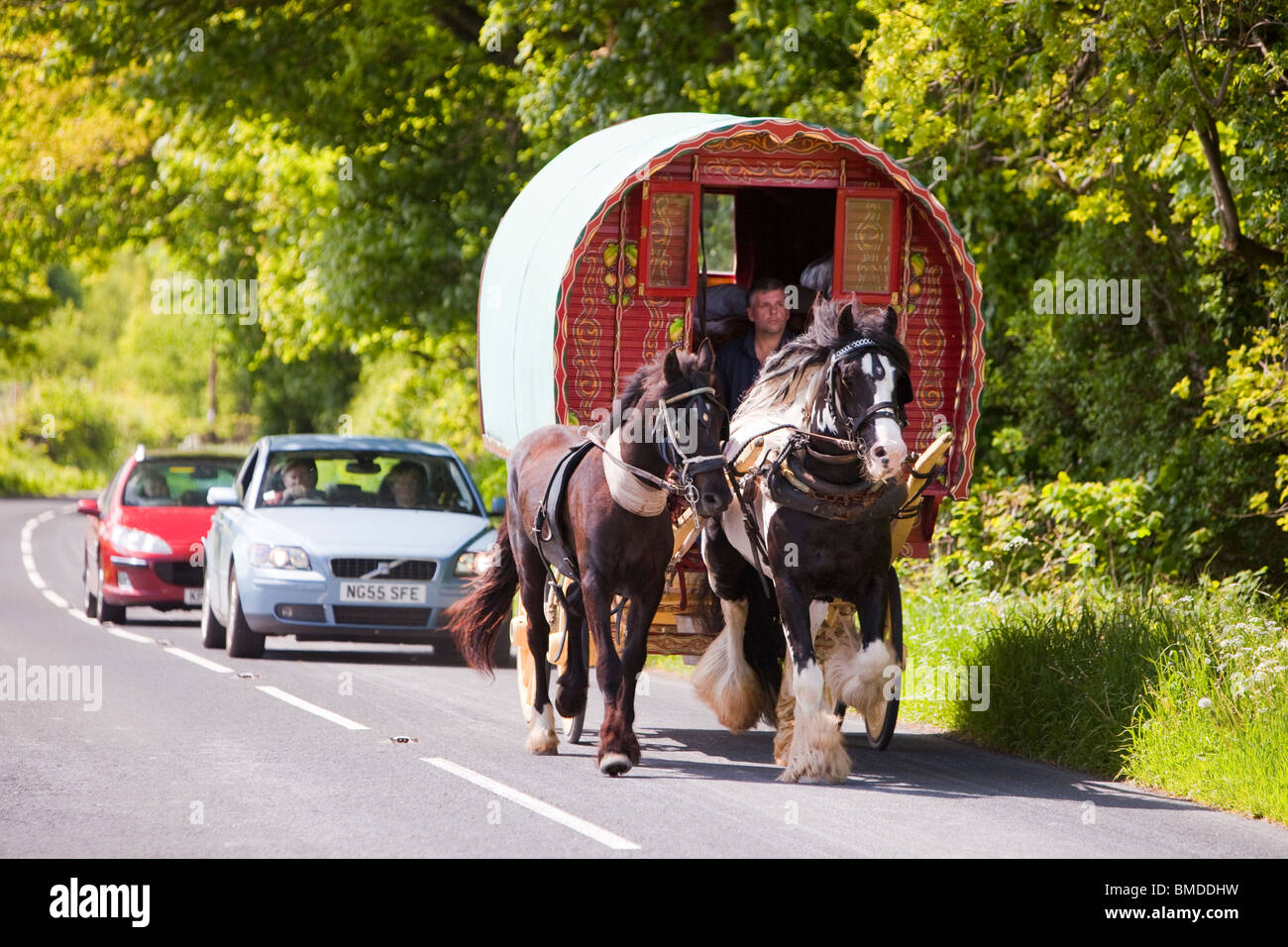 Gypsy's travelling towards the Appleby Horse Fair on a horse drawn caravan near Kirkby Lonsdale, Cumbria, UK. Stock Photo