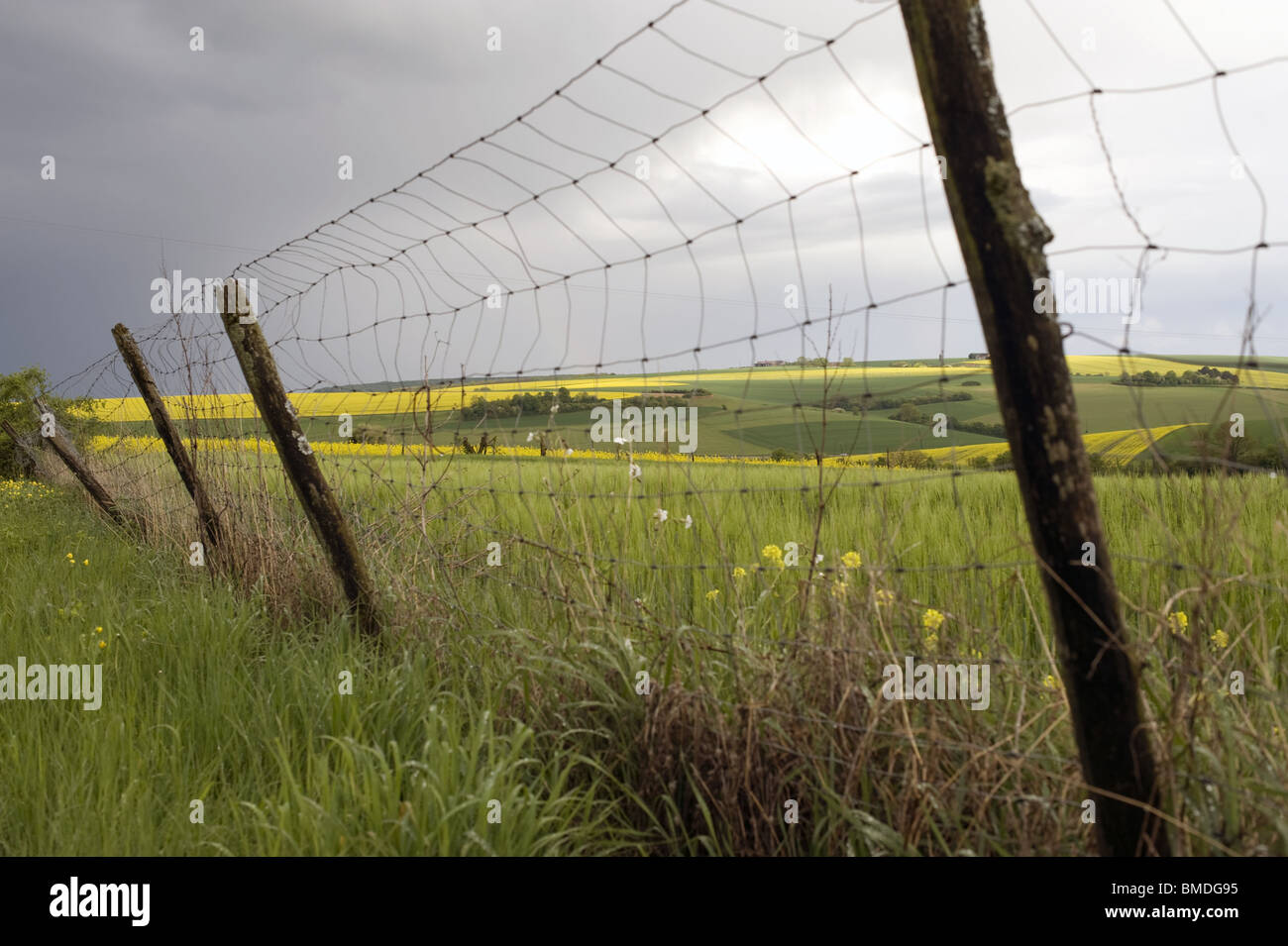 paysage de campagne, barriere, verdure nuages Stock Photo
