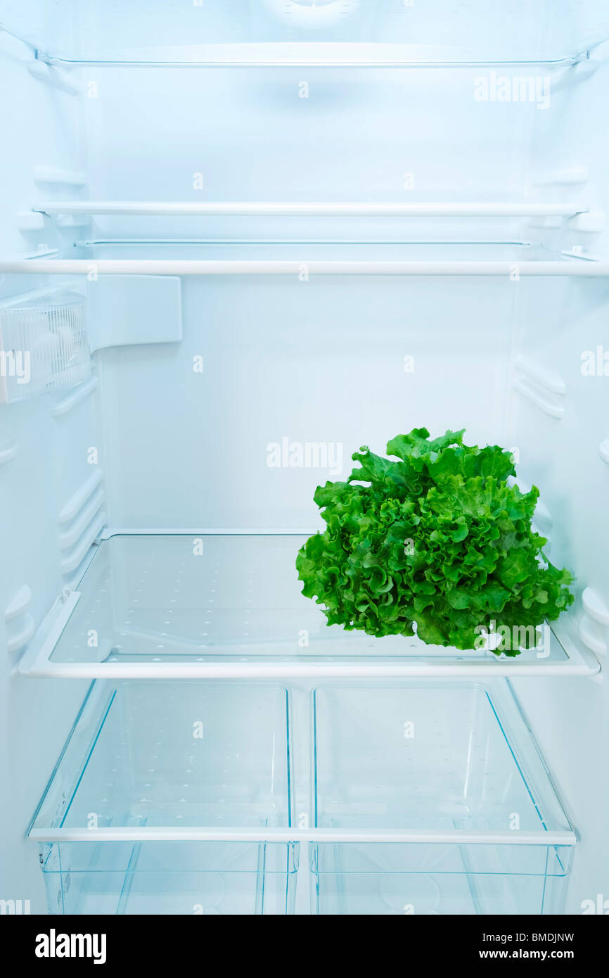 Lettuce in Fridge Stock Photo Alamy
