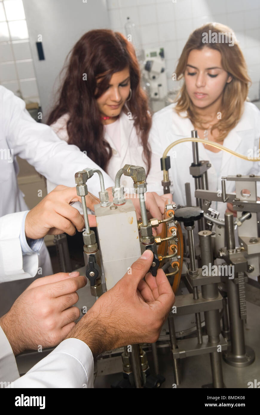 Lebanese group of scientists working inside lab Beirut Lebanon Middle East Stock Photo