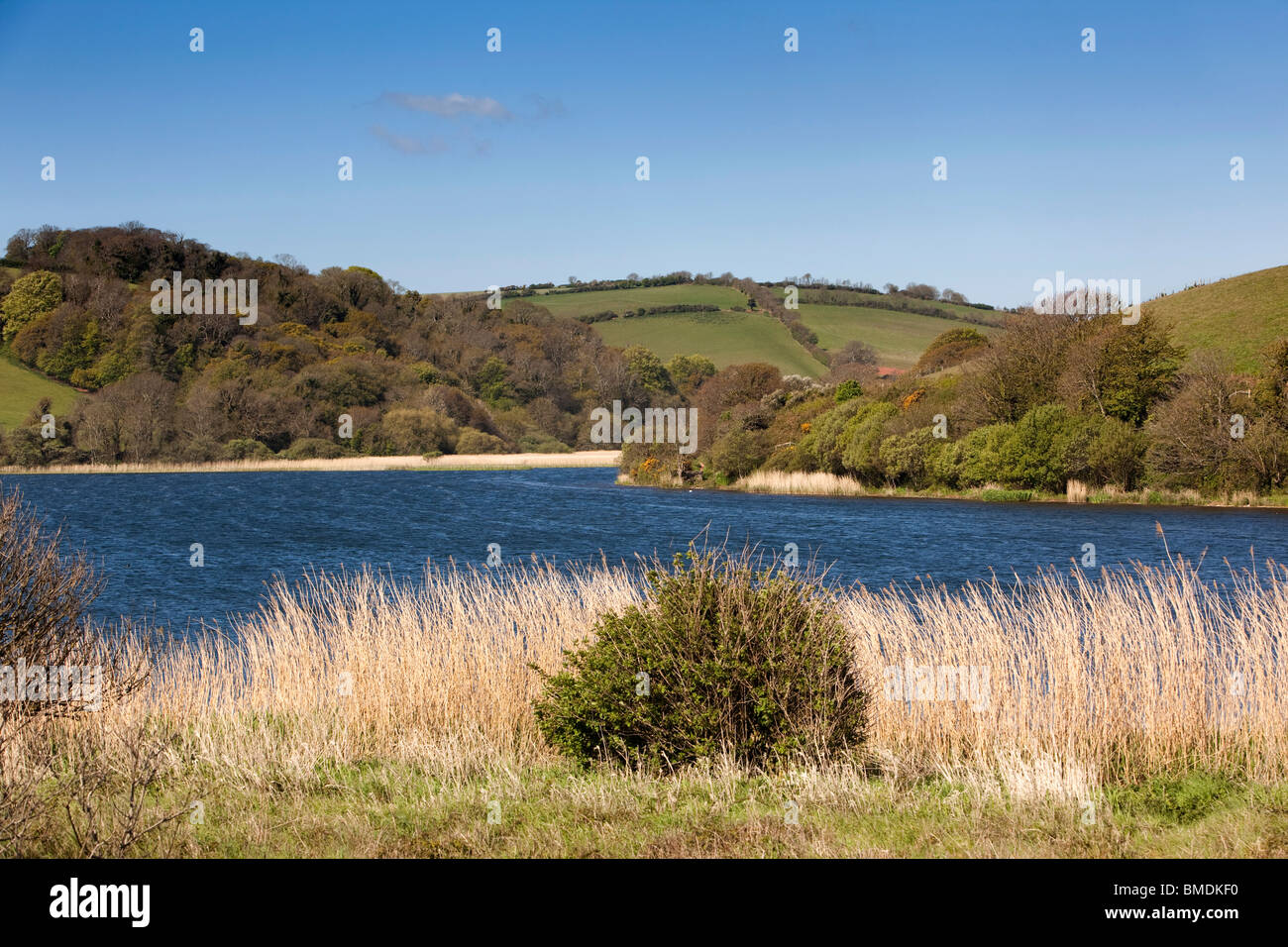 UK, England, Devon, Slapton Lay Nature Reserve Stock Photo - Alamy