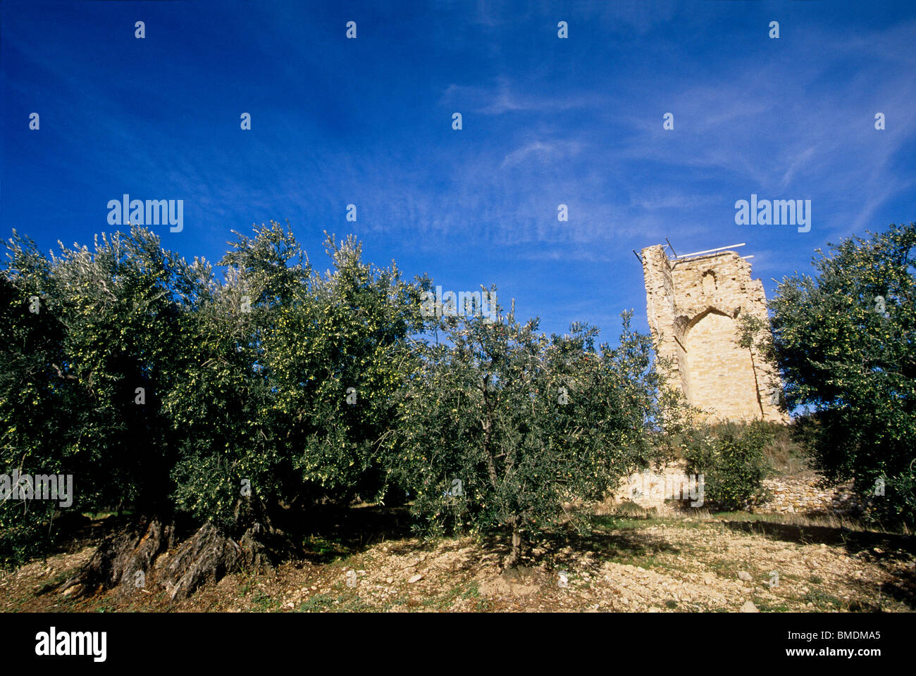 Medieval ruin tower near the city of Manosque Stock Photo