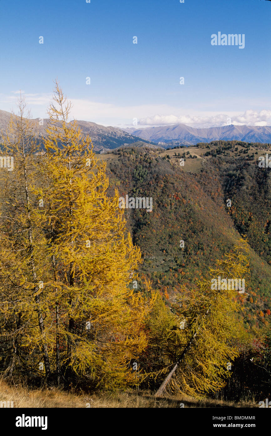 Picturesque countryside of the Alpes-Maritimes into the Mercantour national park Stock Photo