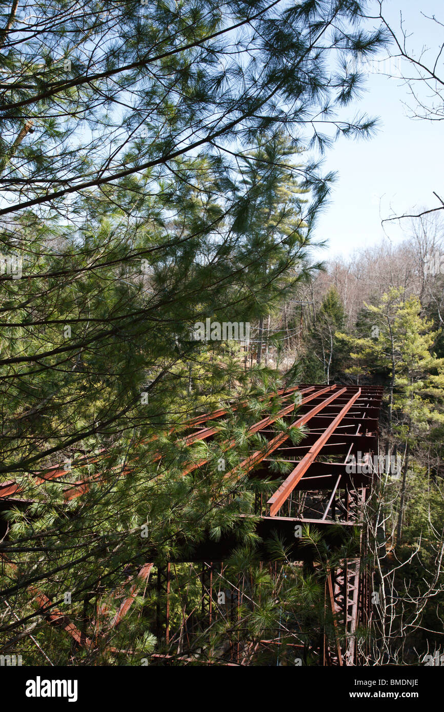 Remnants of the “Pumpkin Seed Bridge” at Livermore Falls in Campton