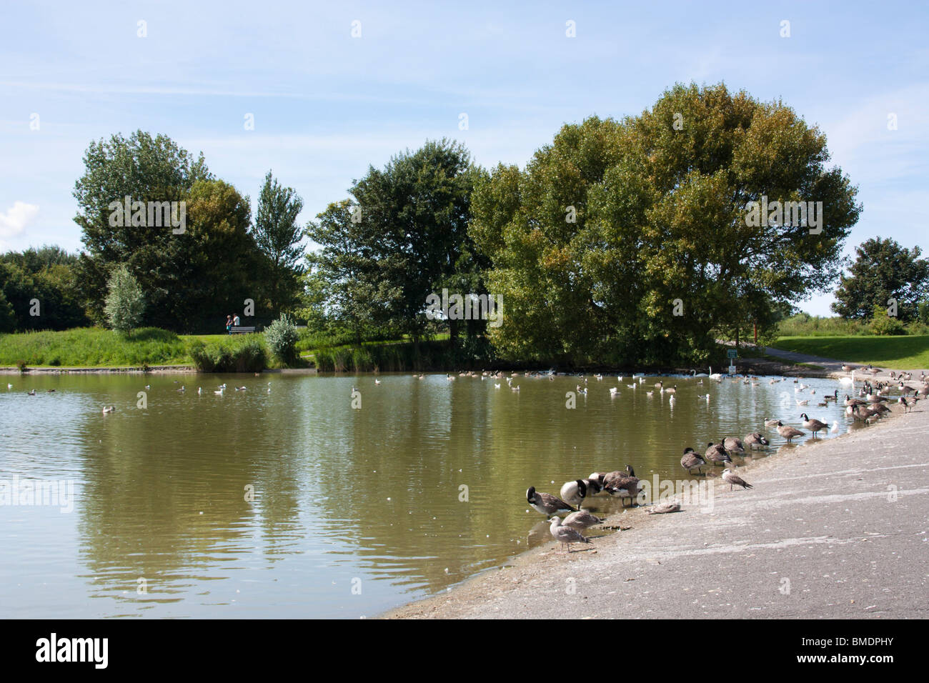 Apex Park Highbridge Somerset Stock Photo Alamy