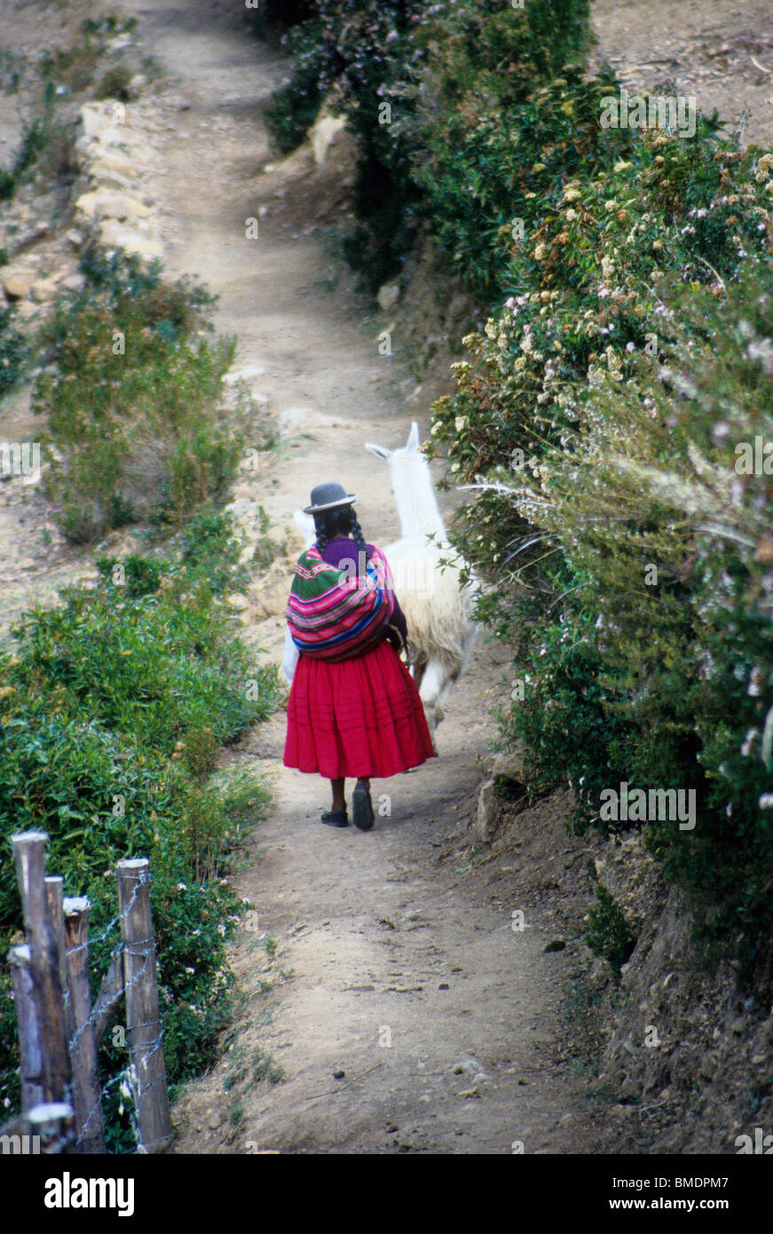 Bolivian girl walking with her lama Stock Photo