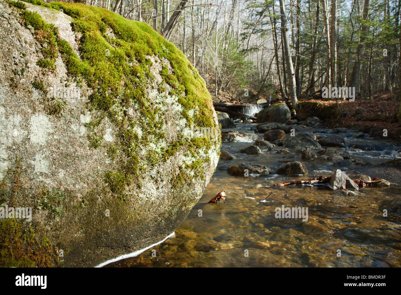 Talford Brook during the spring months. Located next to Tripoli Road in