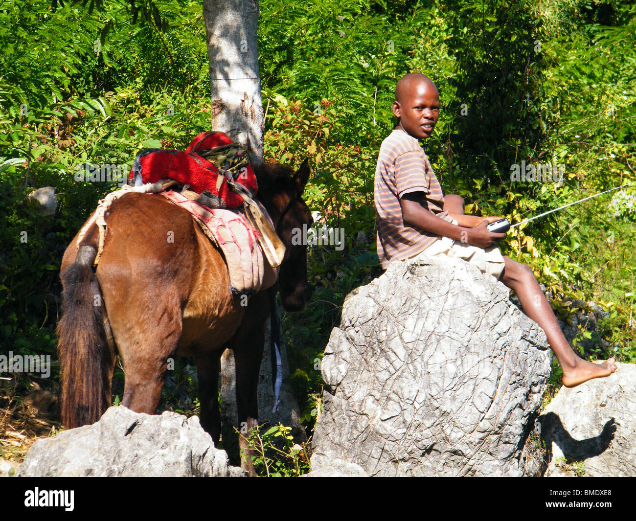 A boy sits on a rock beside his horse listening to the radio in northern Haiti Stock Photo