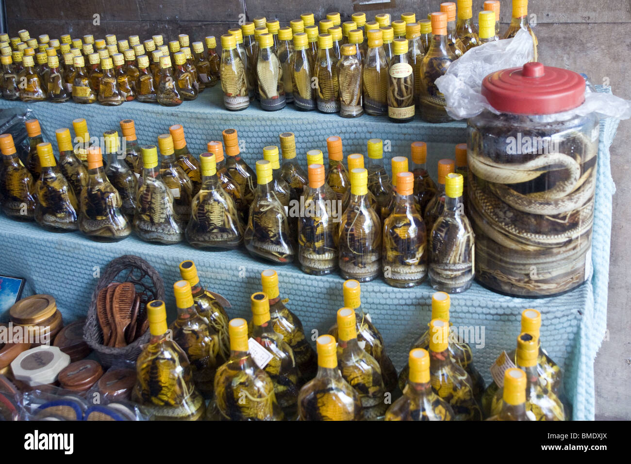 Vietnamese snake and scorpion rice wine from Vietnam Stock Photo Alamy