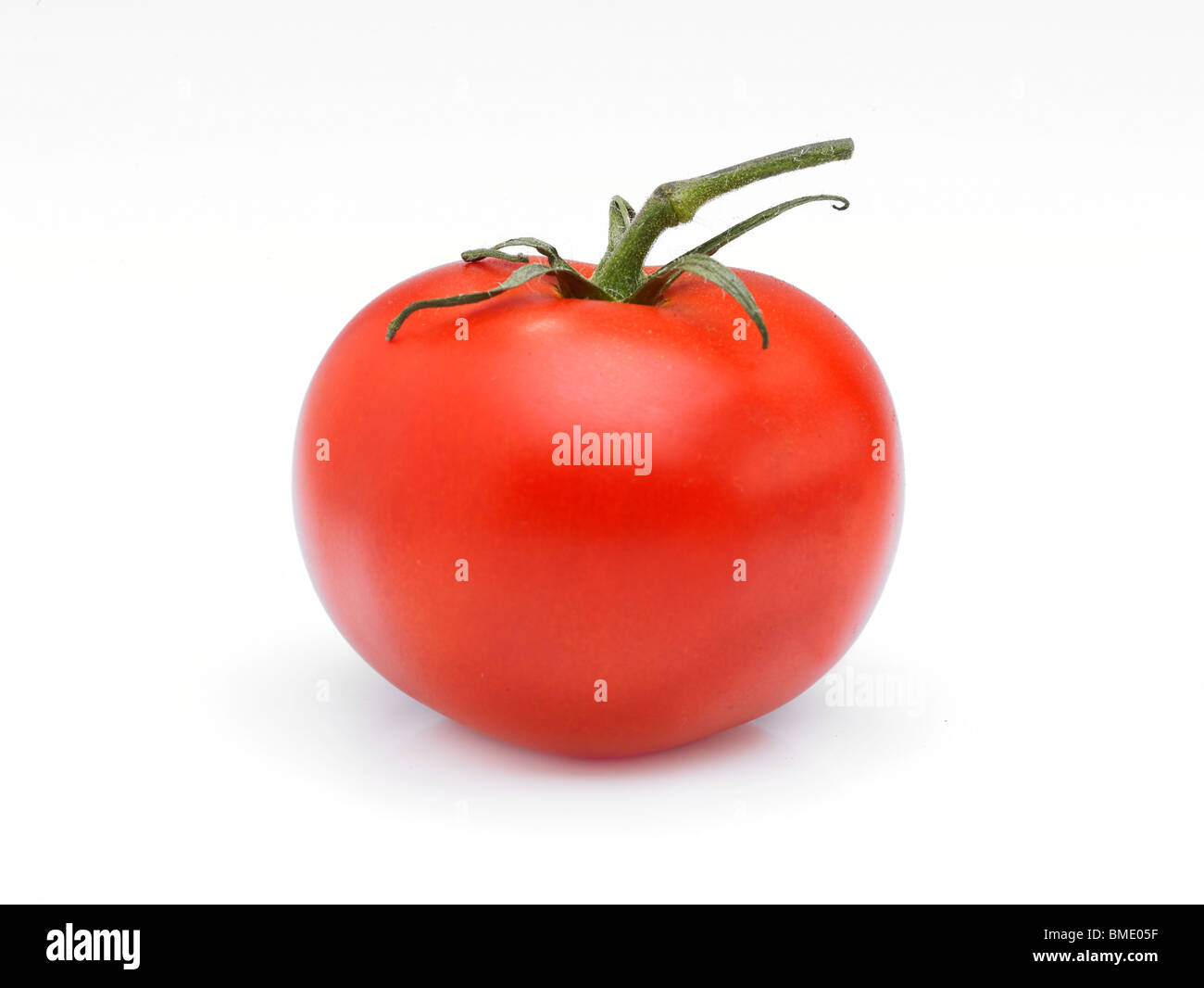 A single red Tomato with sprig on plain white background Stock Photo ...