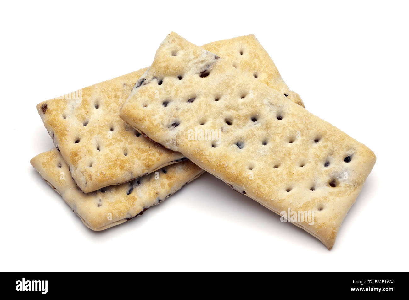 garibaldi biscuit