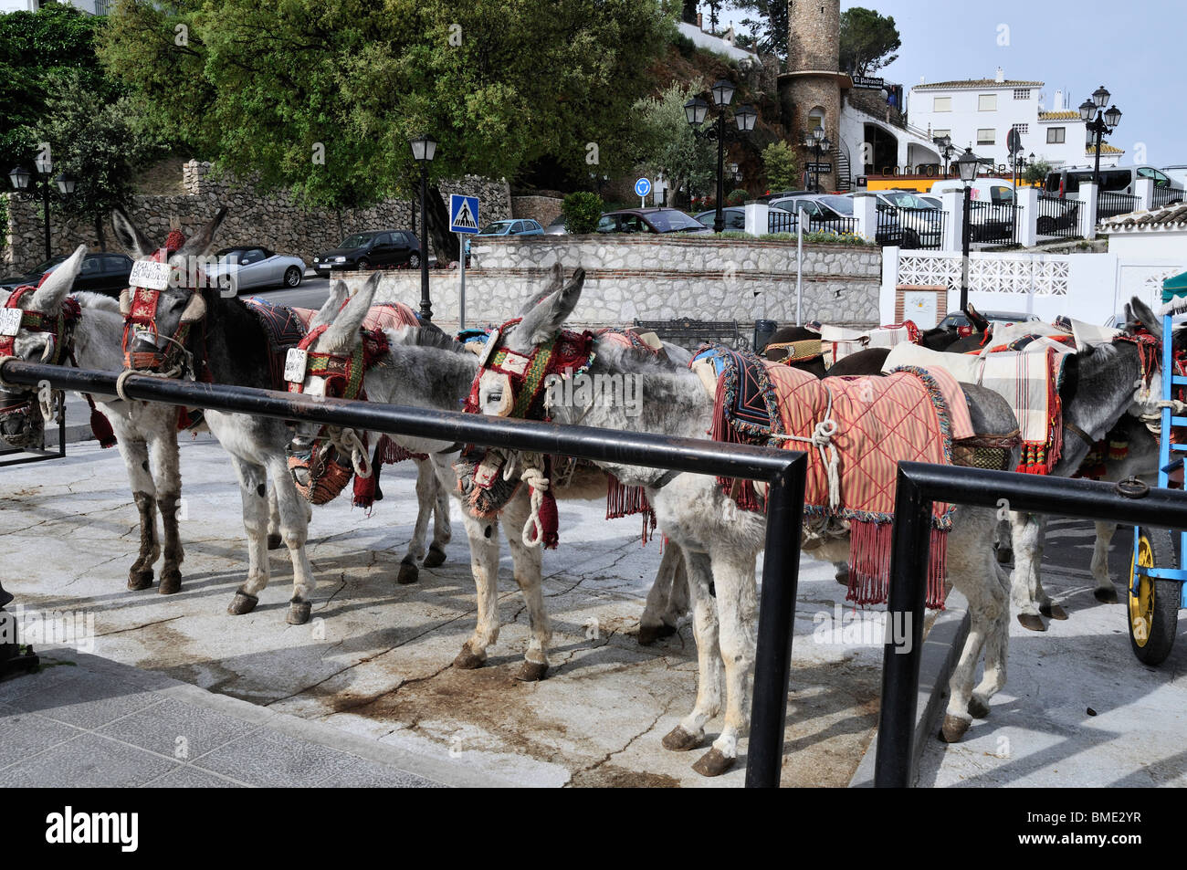 Donkeys wait patiently at the purpose built Donkey Station in the white washed village of Mijas Pueblo Stock Photo