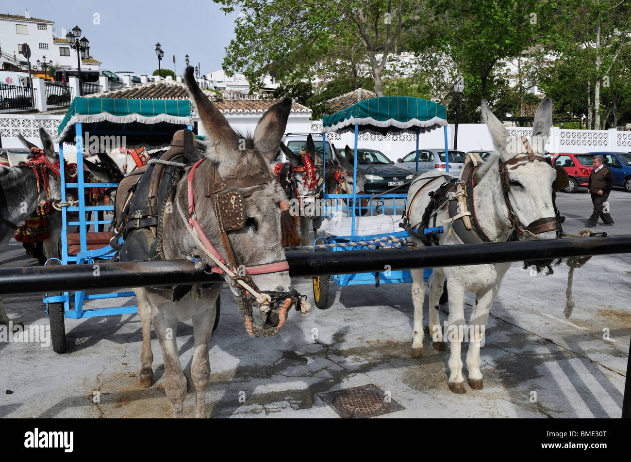 Donkeys with their carts attached wait patiently at the purpose built donkey station in the white washed village of Mijas Pueblo Stock Photo