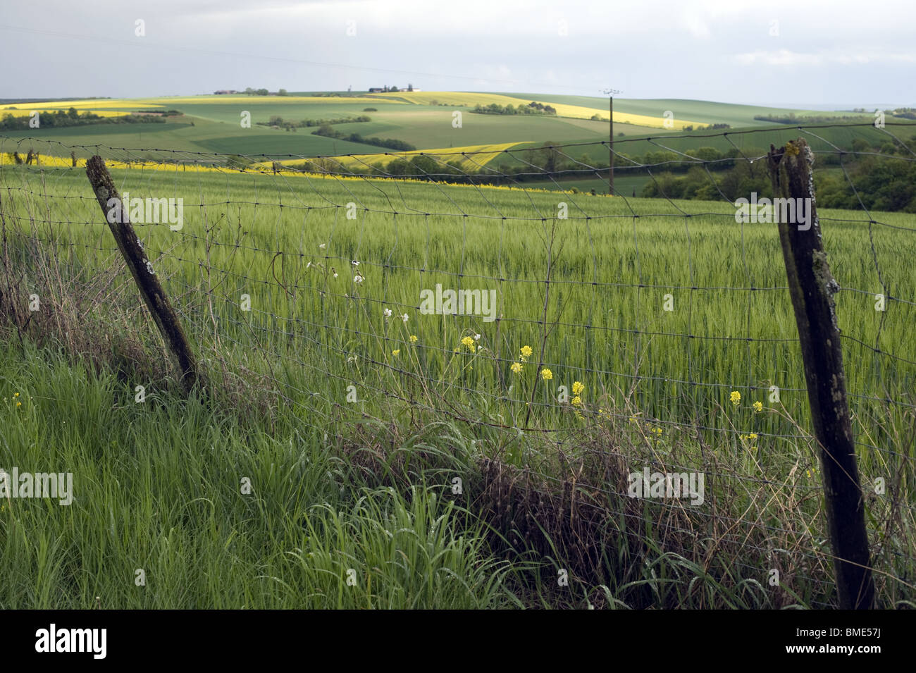 barriere campagne, bourgogne, ciel nuage, barrier campaign, burgundy, sky clouds Stock Photo