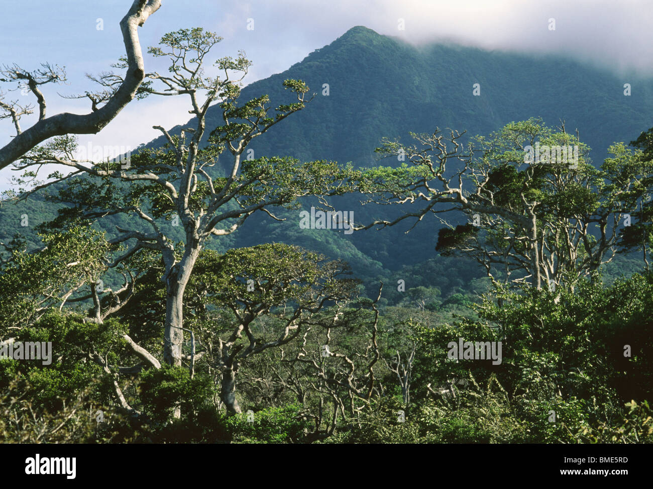 Volcan Orosi, Guanacaste National Park, Costa Rica Stock Photo Alamy