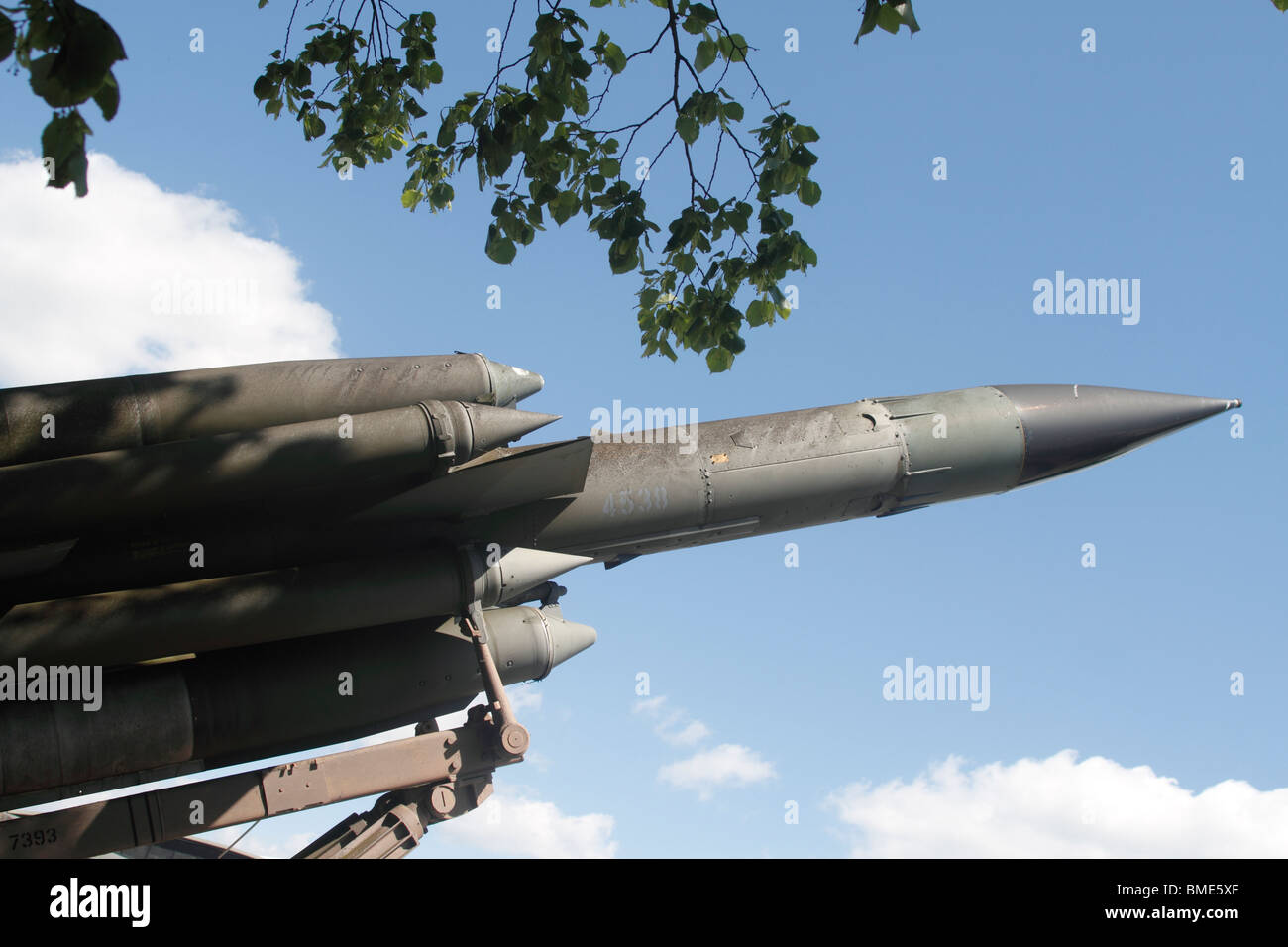 Bristol bloodhound hires stock photography and images Alamy