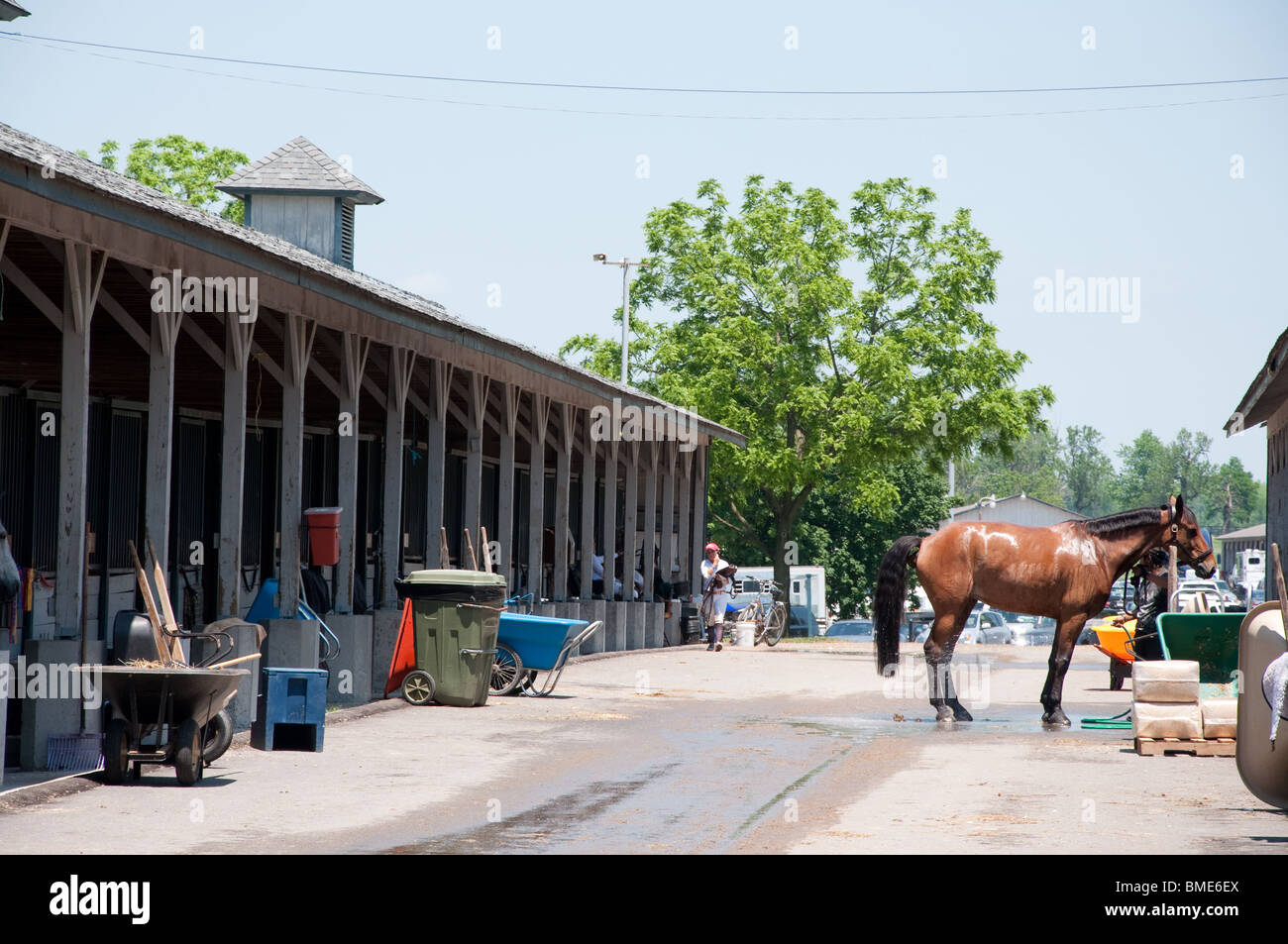 Trainer bathing horse at Kentucky Horse Park in Lexington, Kentucky Stock Photo