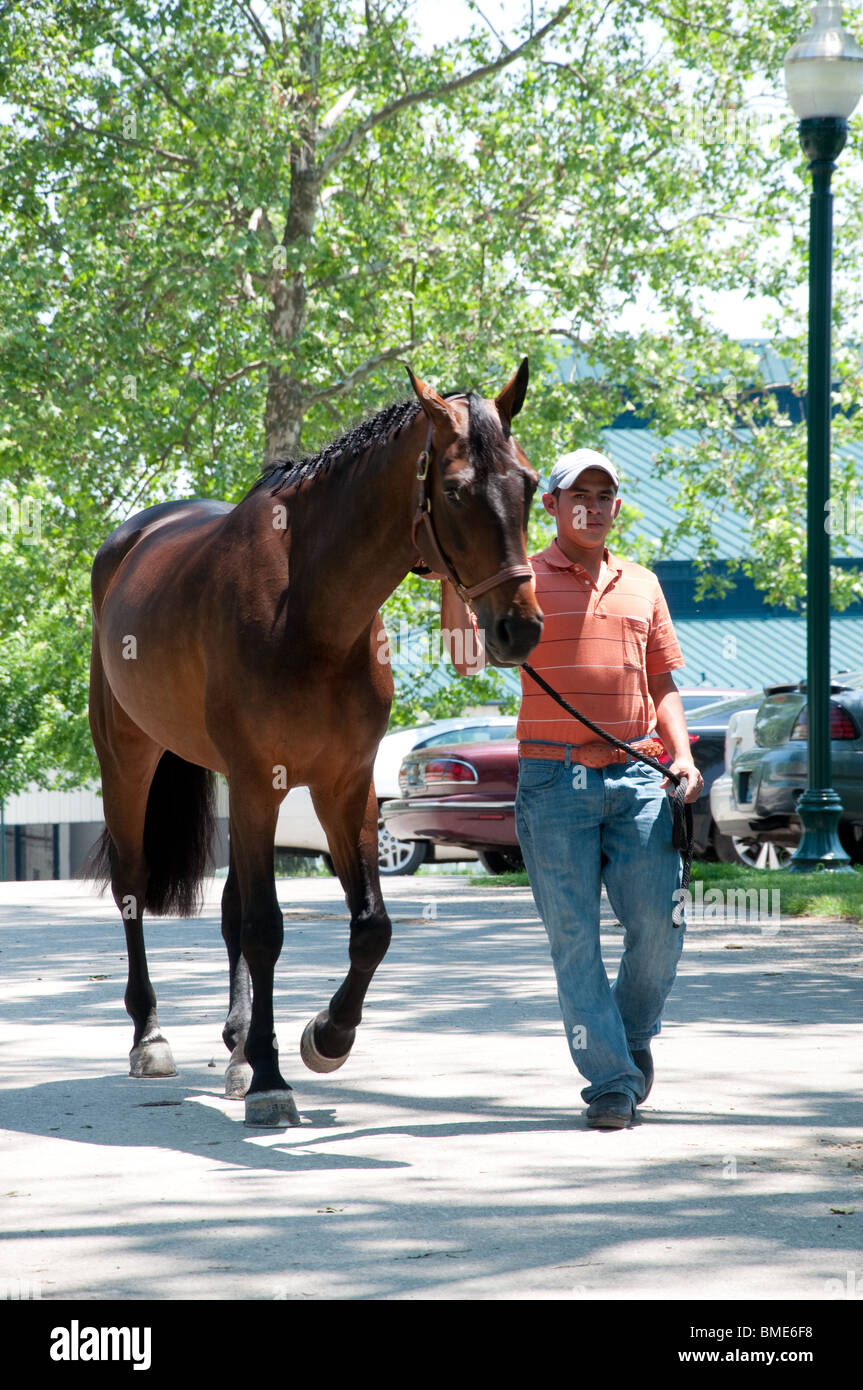 Trainer walking horse at Kentucky Horse Park in Lexington, Kentucky Stock Photo