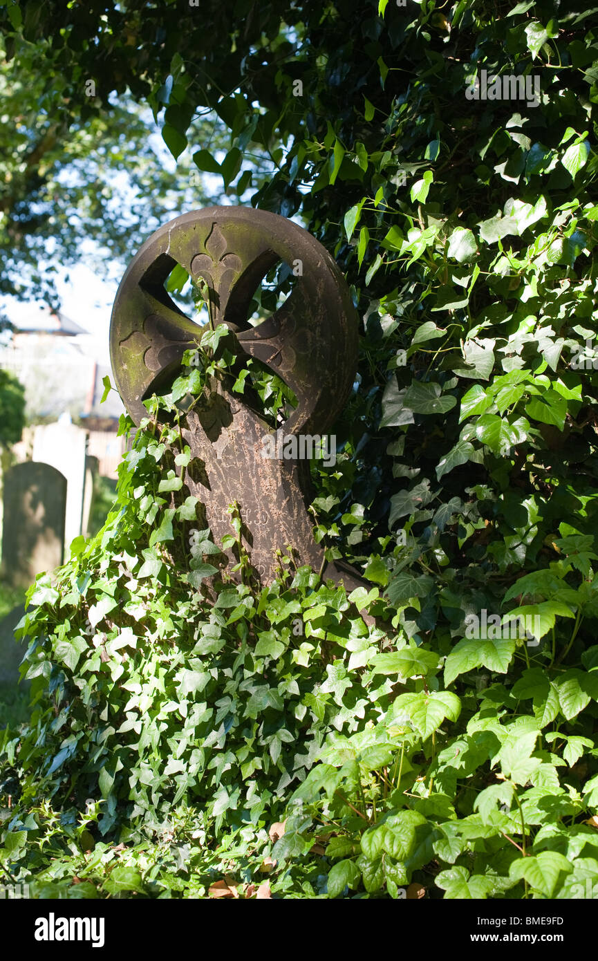 Graveside overgrown by Ivy and a tree Stock Photo