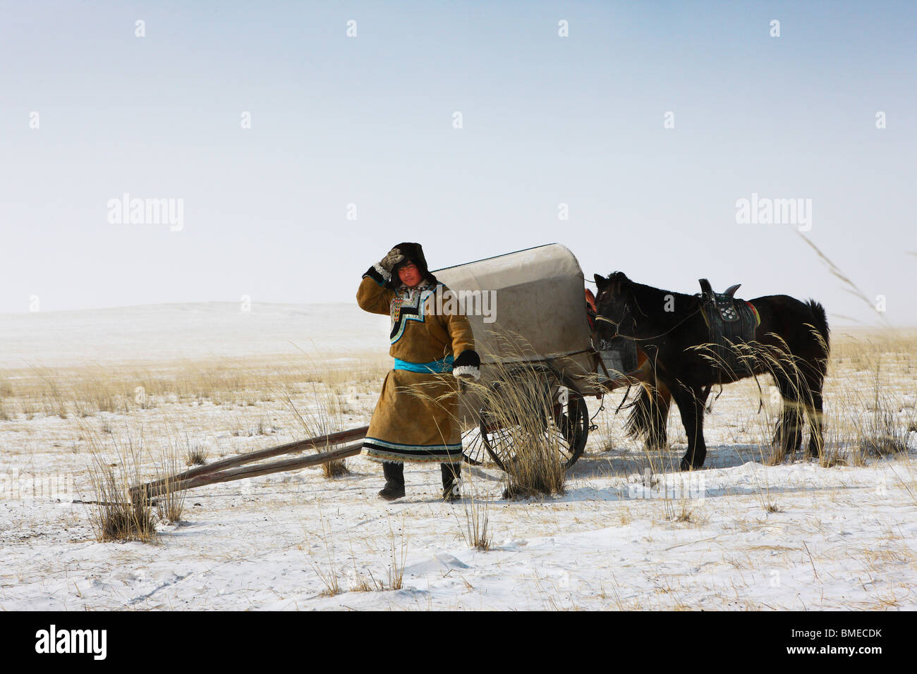 Horse carriage china hi-res stock photography and images - Alamy