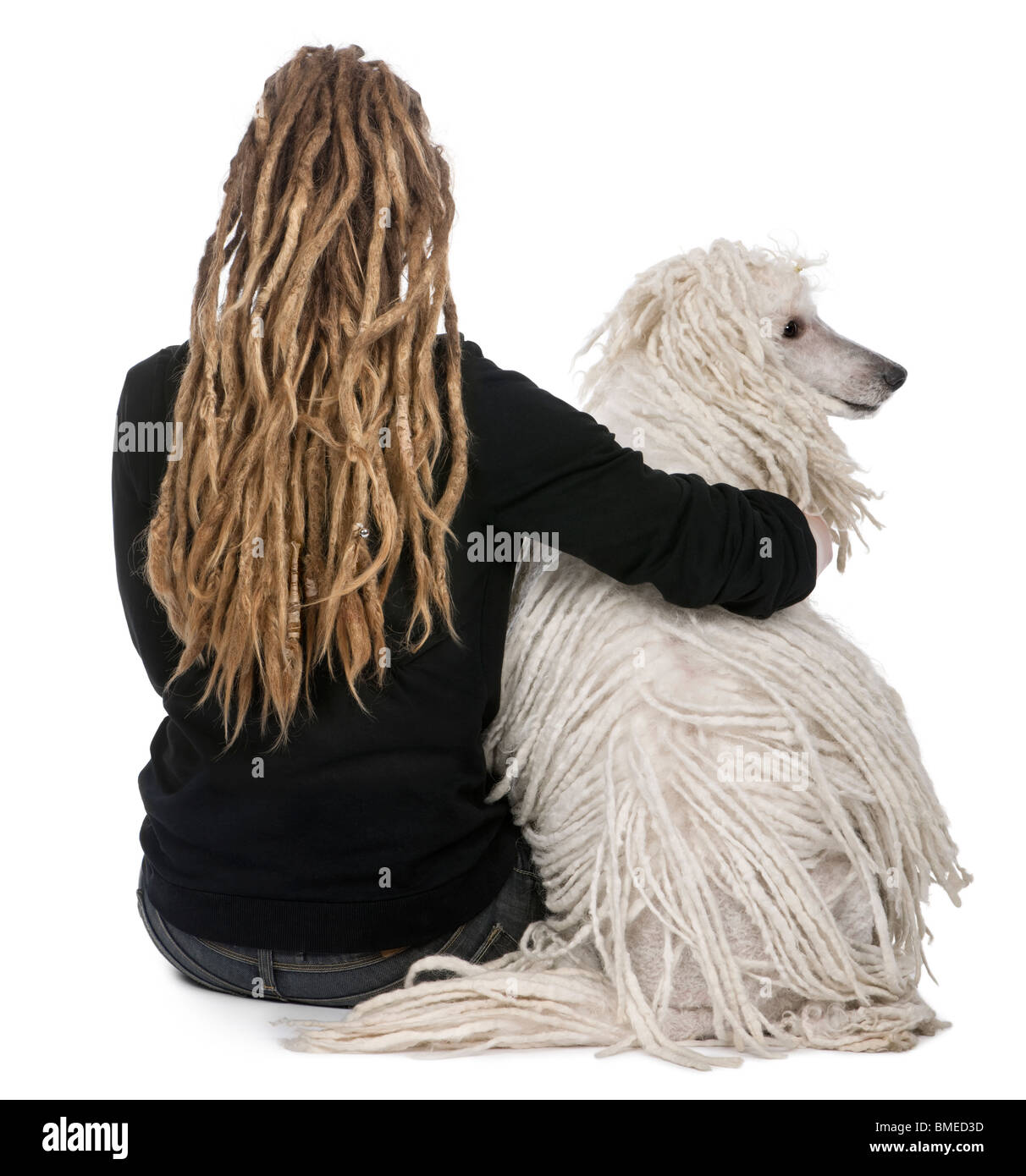 Rear view of a White Corded standard Poodle and a girl with dreadlocks sitting in front of white background Stock Photo