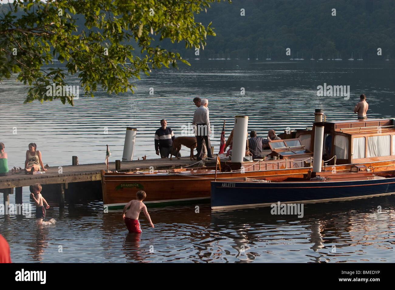 Shamrock Windermere Steam Boat Roger Mallison Stock Photo Alamy