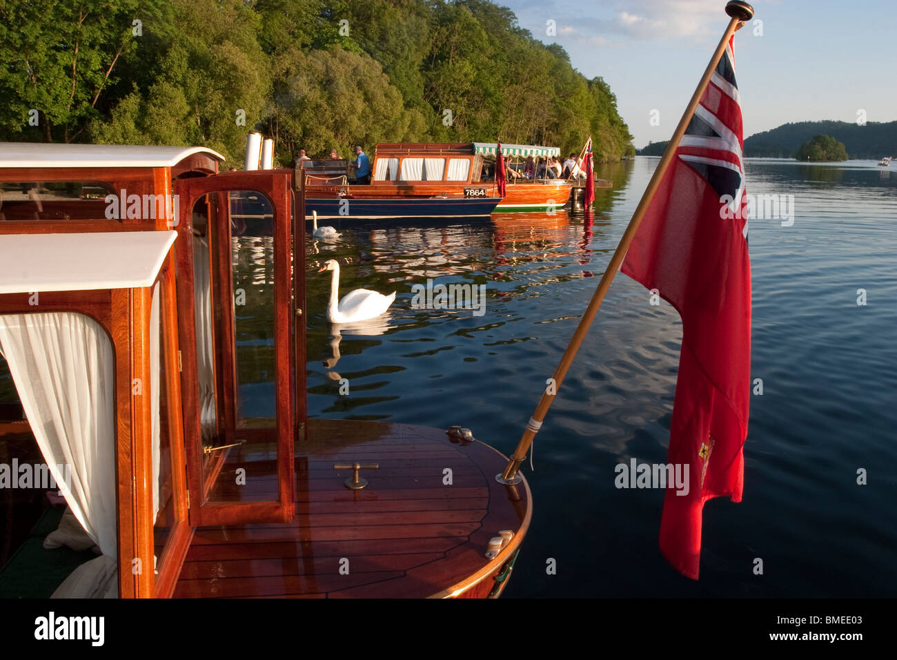 Shamrock Windermere Steam Boat Roger Mallison Stock Photo Alamy