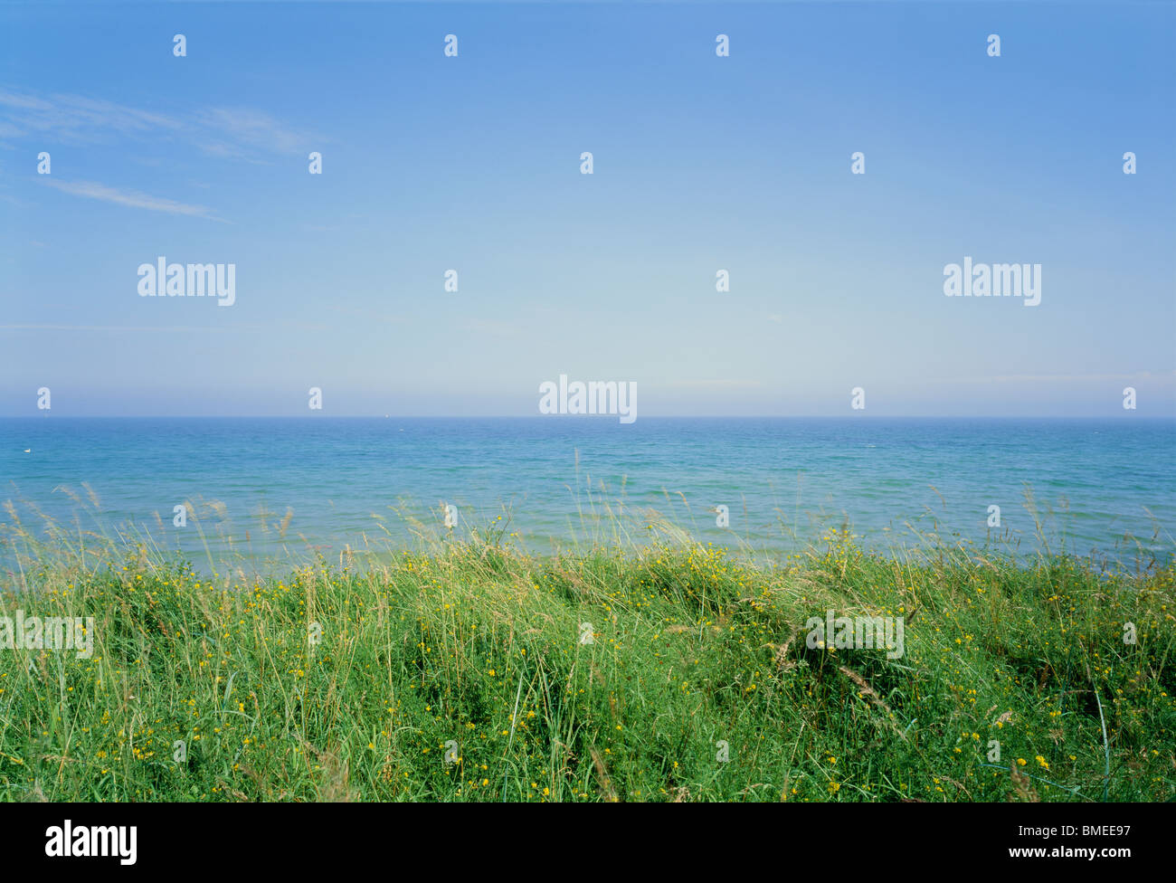 View of grass with sea in background Stock Photo