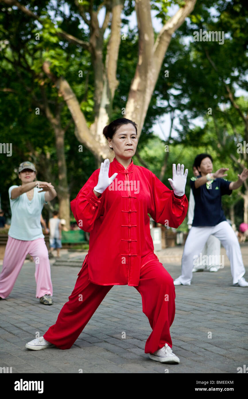Большое дерево цигун. Тай цзи цюань. Китайская гимнастика цигун. Музыка для большого дерева цигун. Чжун хэ цигун.