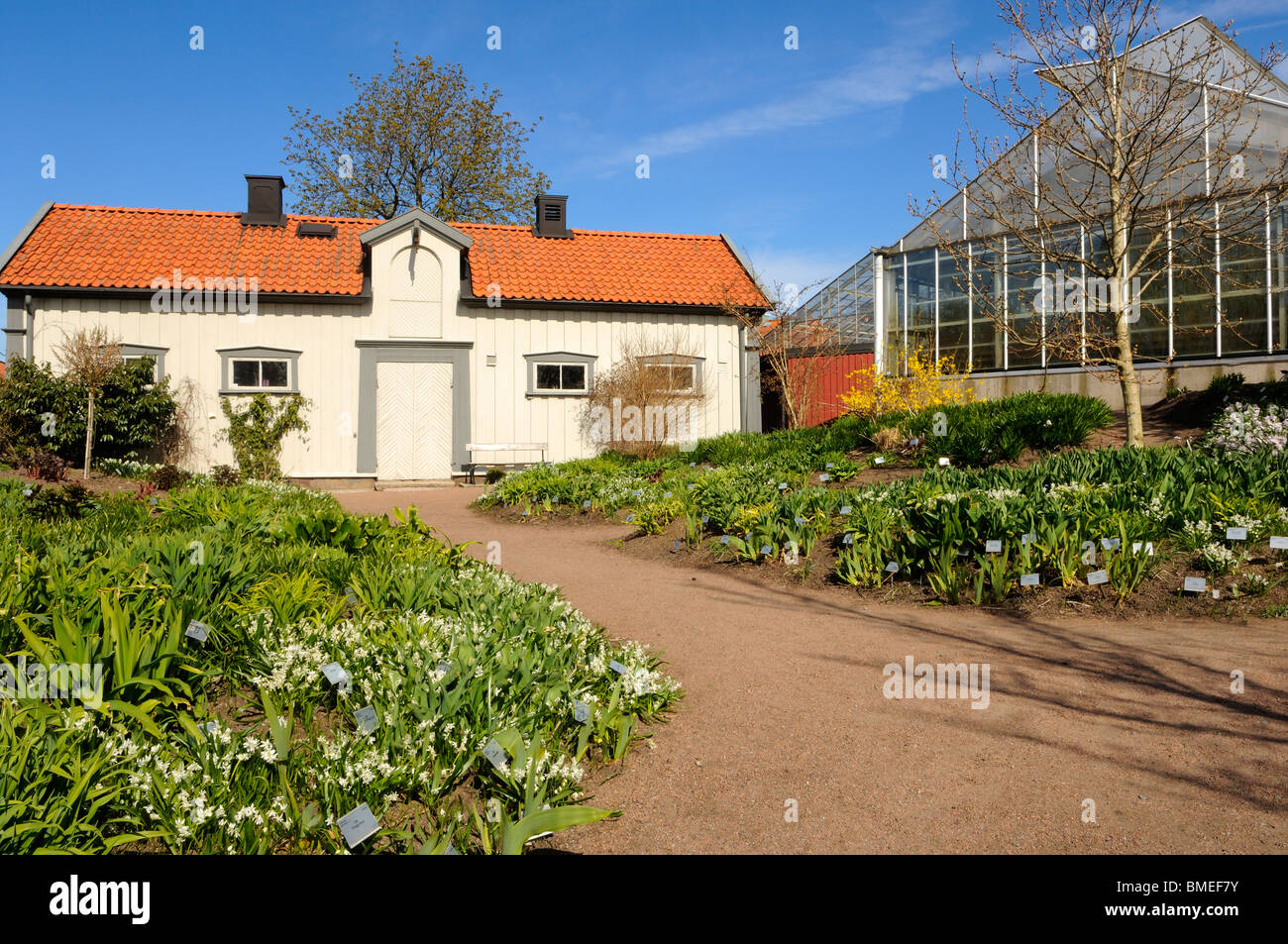 Scandinavia, Sweden, Gothenburg, View of house with garden and greenhouse Stock Photo