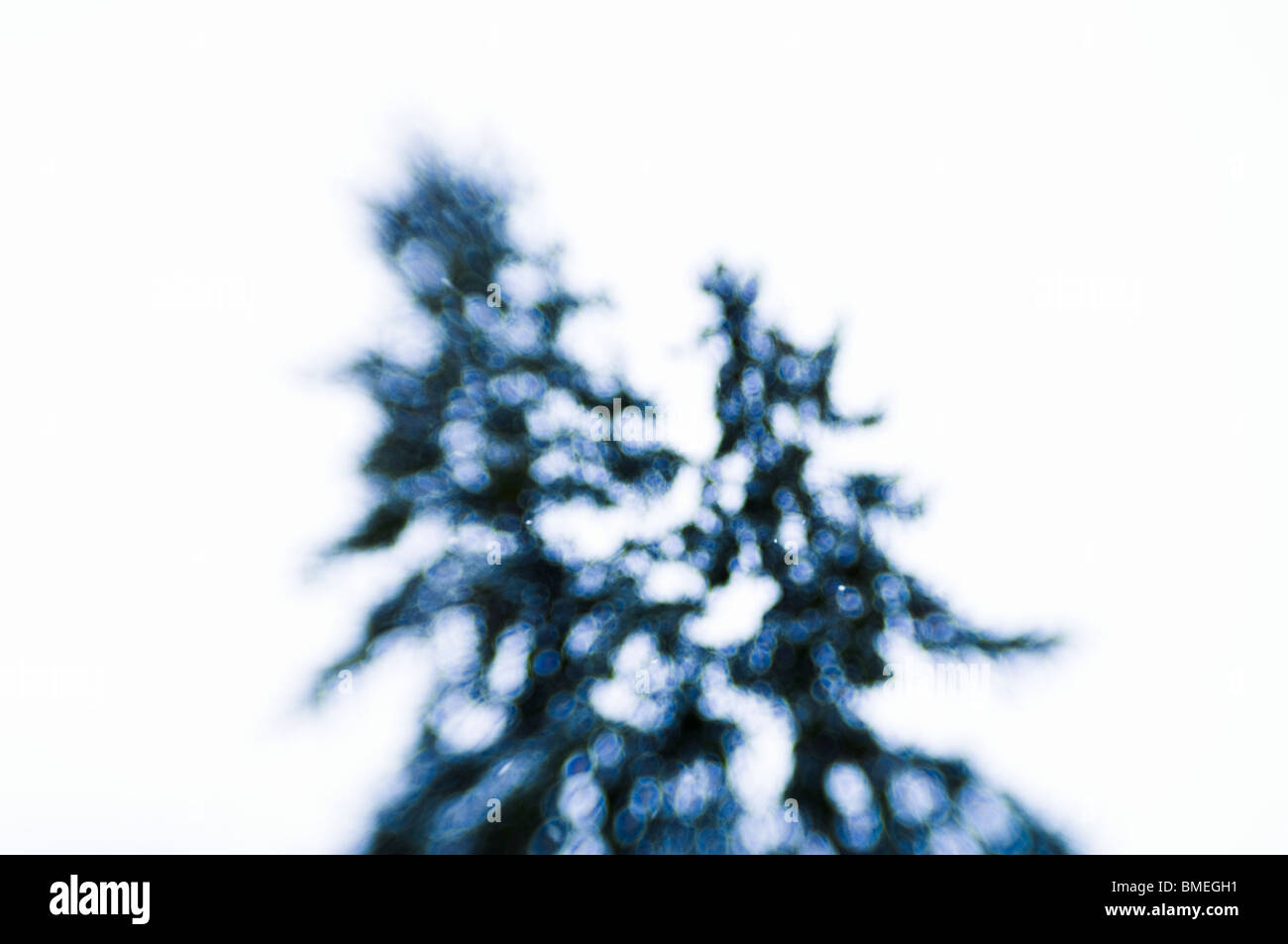 Distort distorted distorting distortions hi-res stock photography and ...